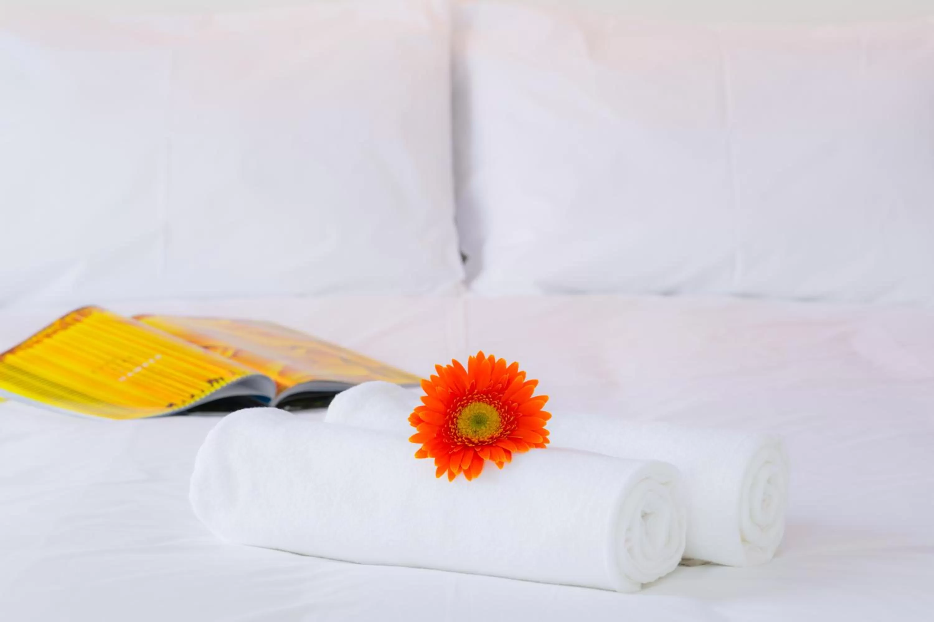 Decorative detail, Bed in Hotel Zing Phnom Penh