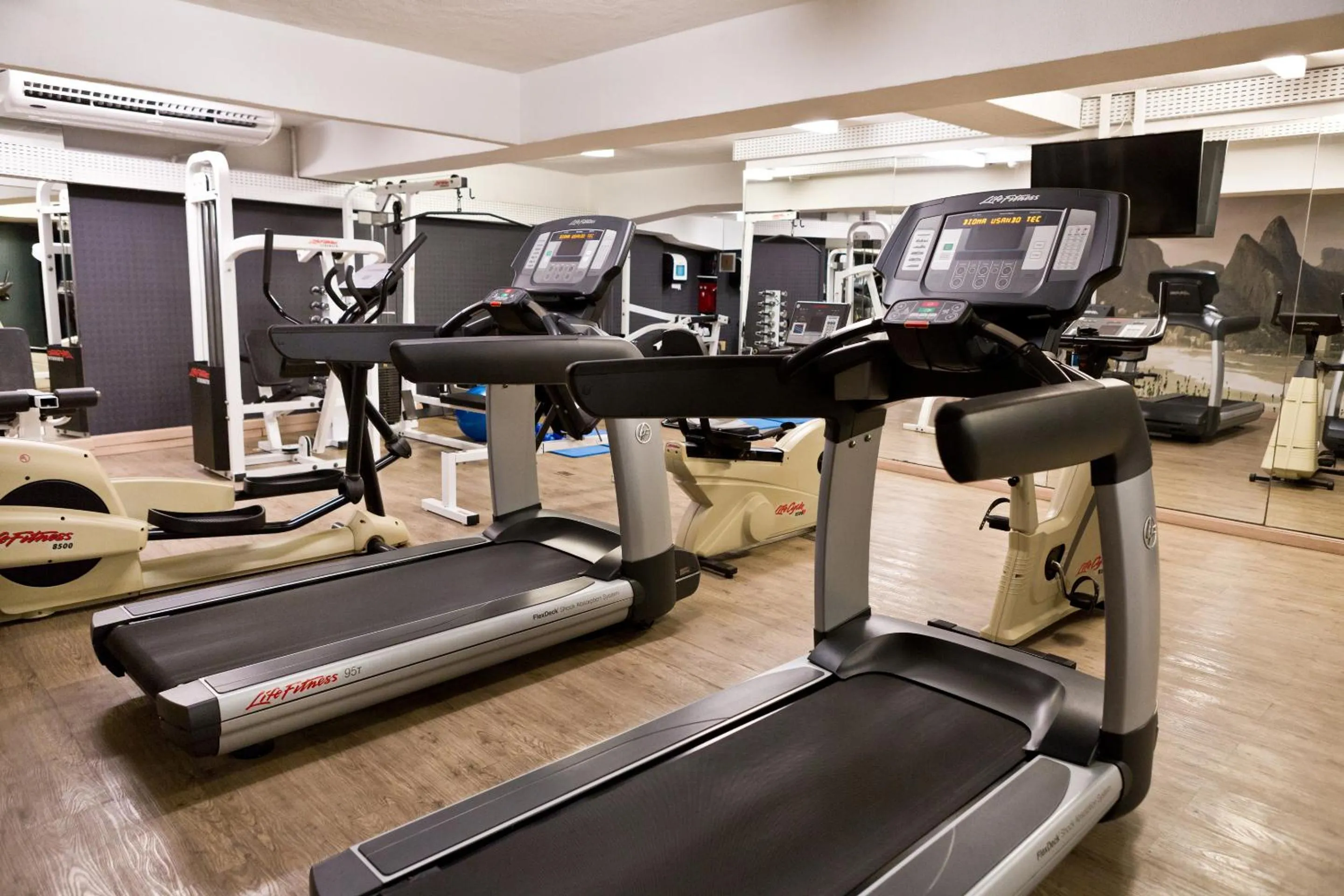 Fitness centre/facilities in Ritz Leblon