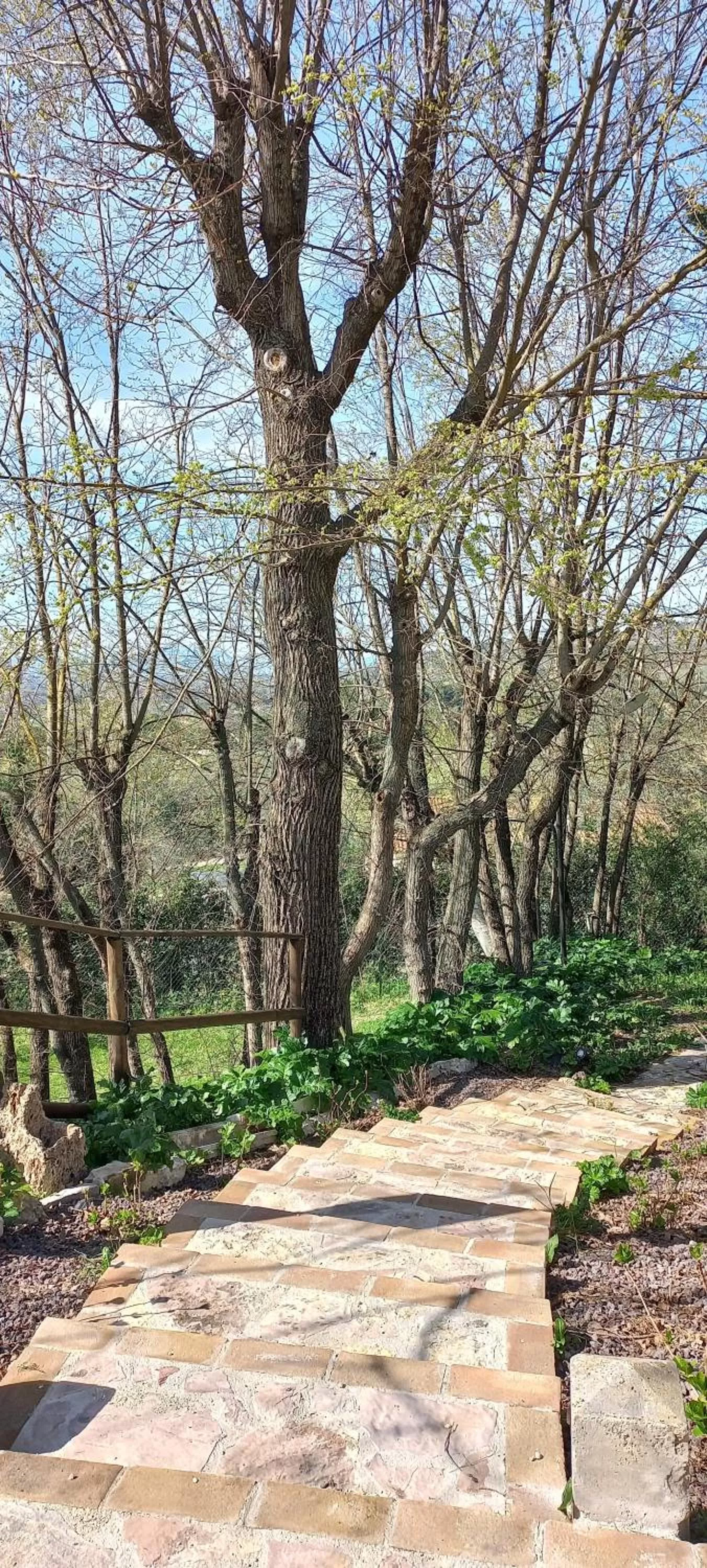 Domus Antiqua Bed & Breakfast