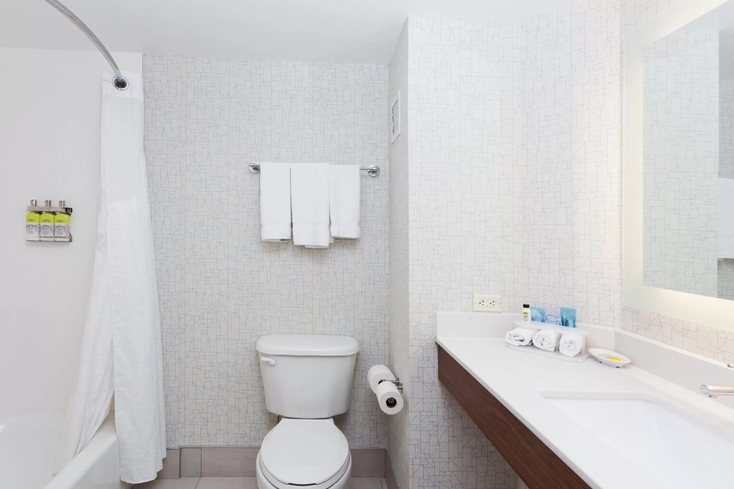 Bathroom in Holiday Inn Express Hotel & Suites Montgomery Boyd-Cooper Parkway by IHG