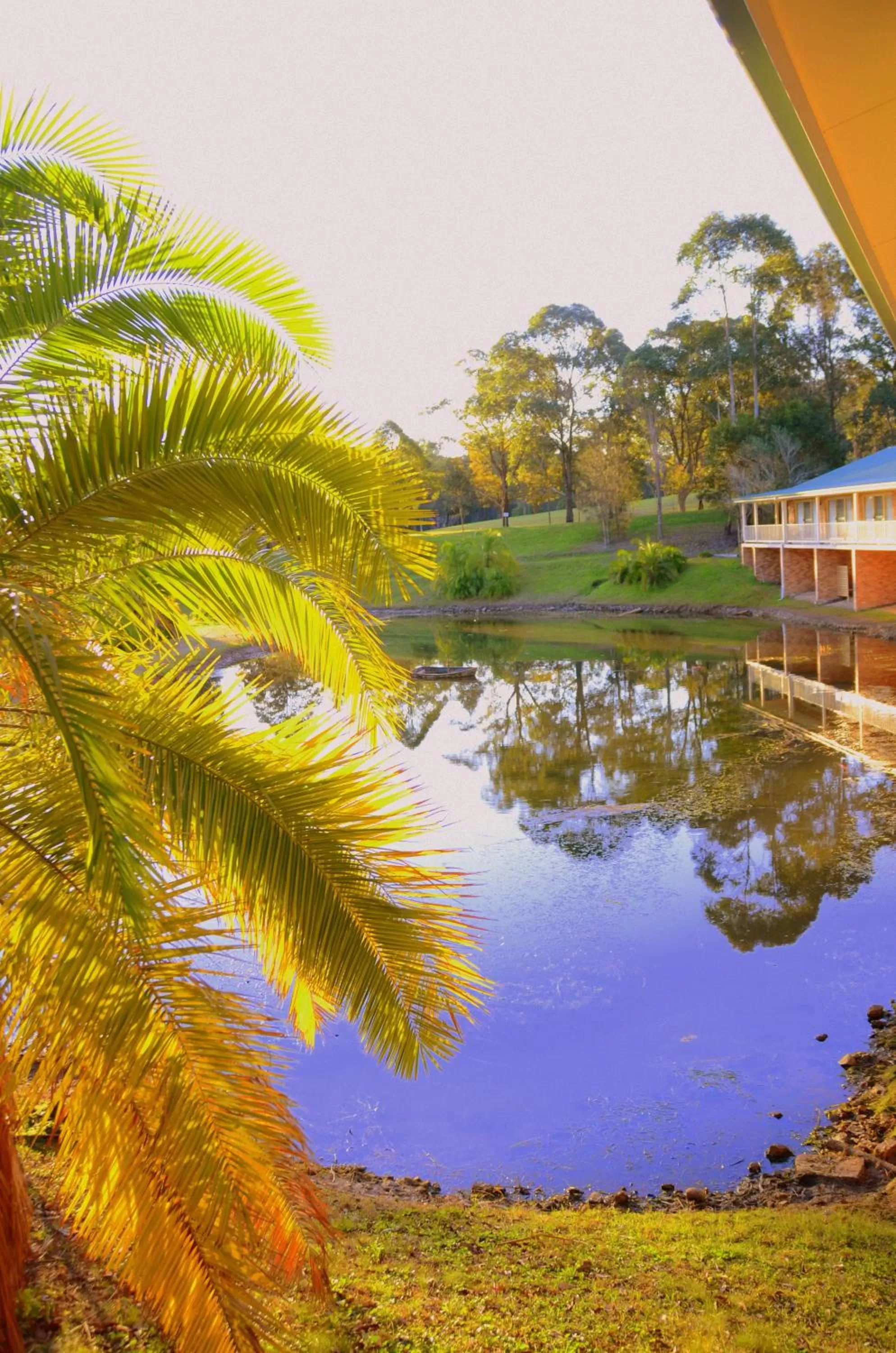View (from property/room) in Golf Club Motor Inn Wingham