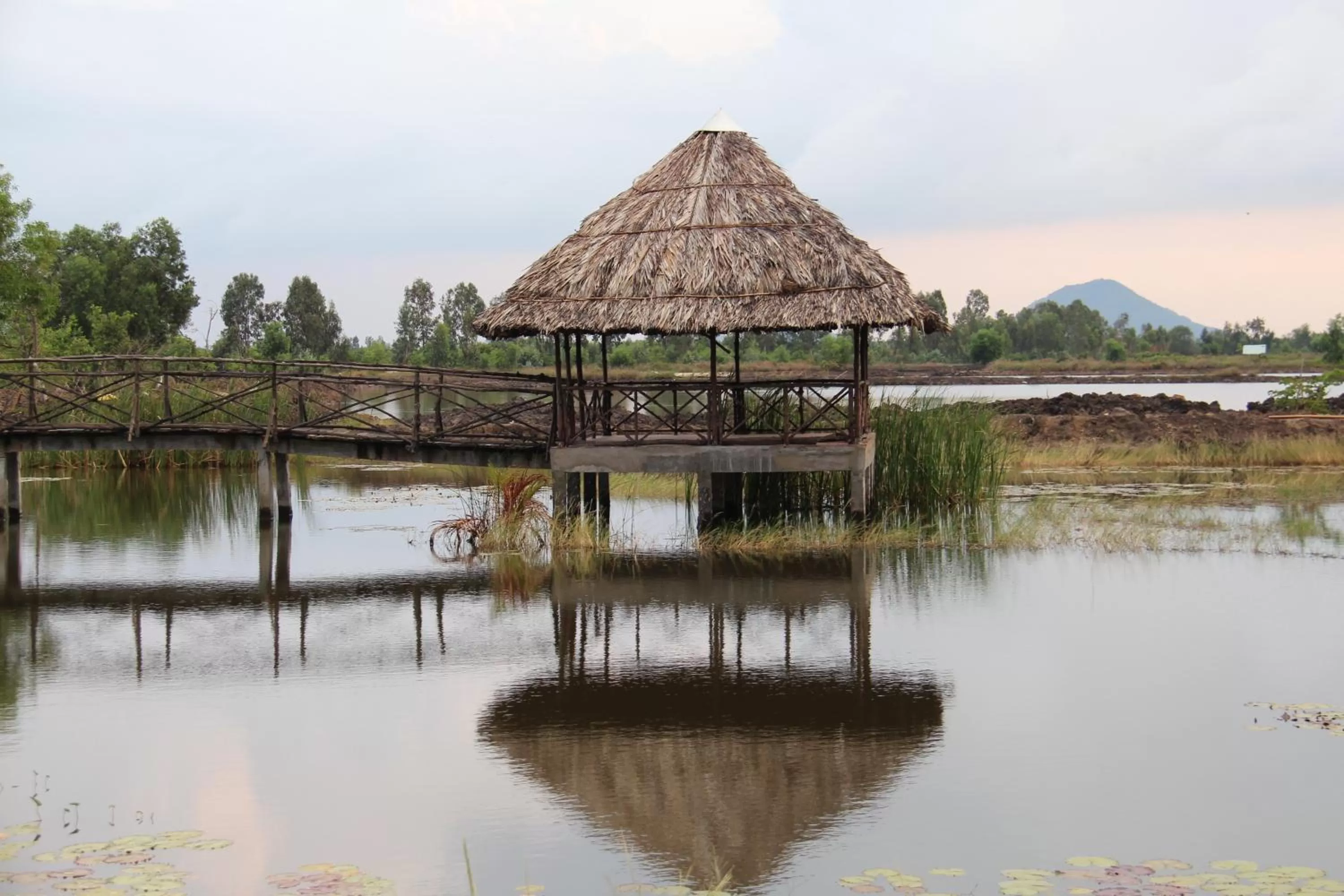 Activities in River Hotel