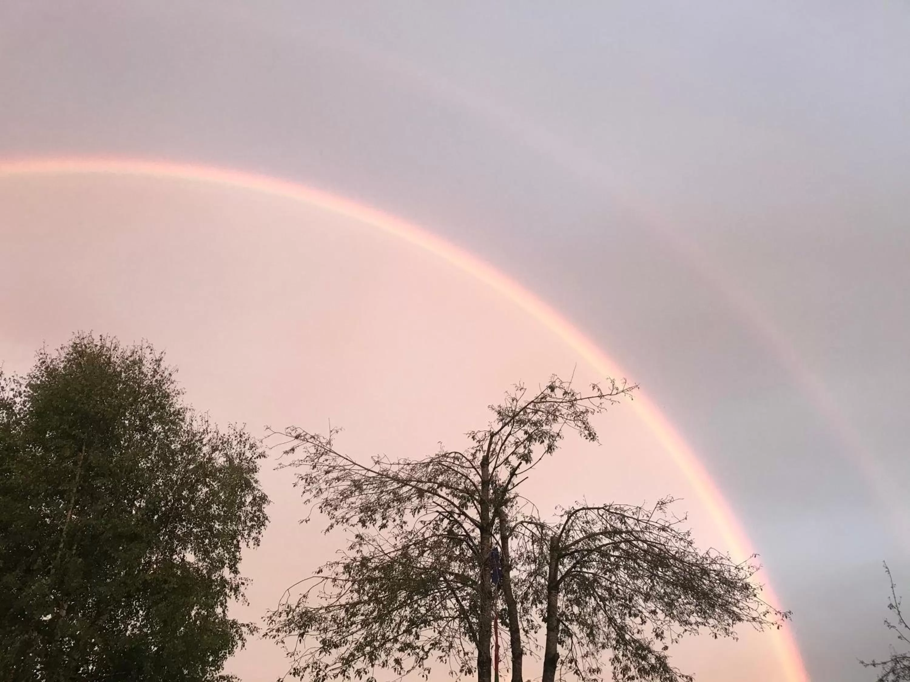 Bed and Breakfast Bavaria München