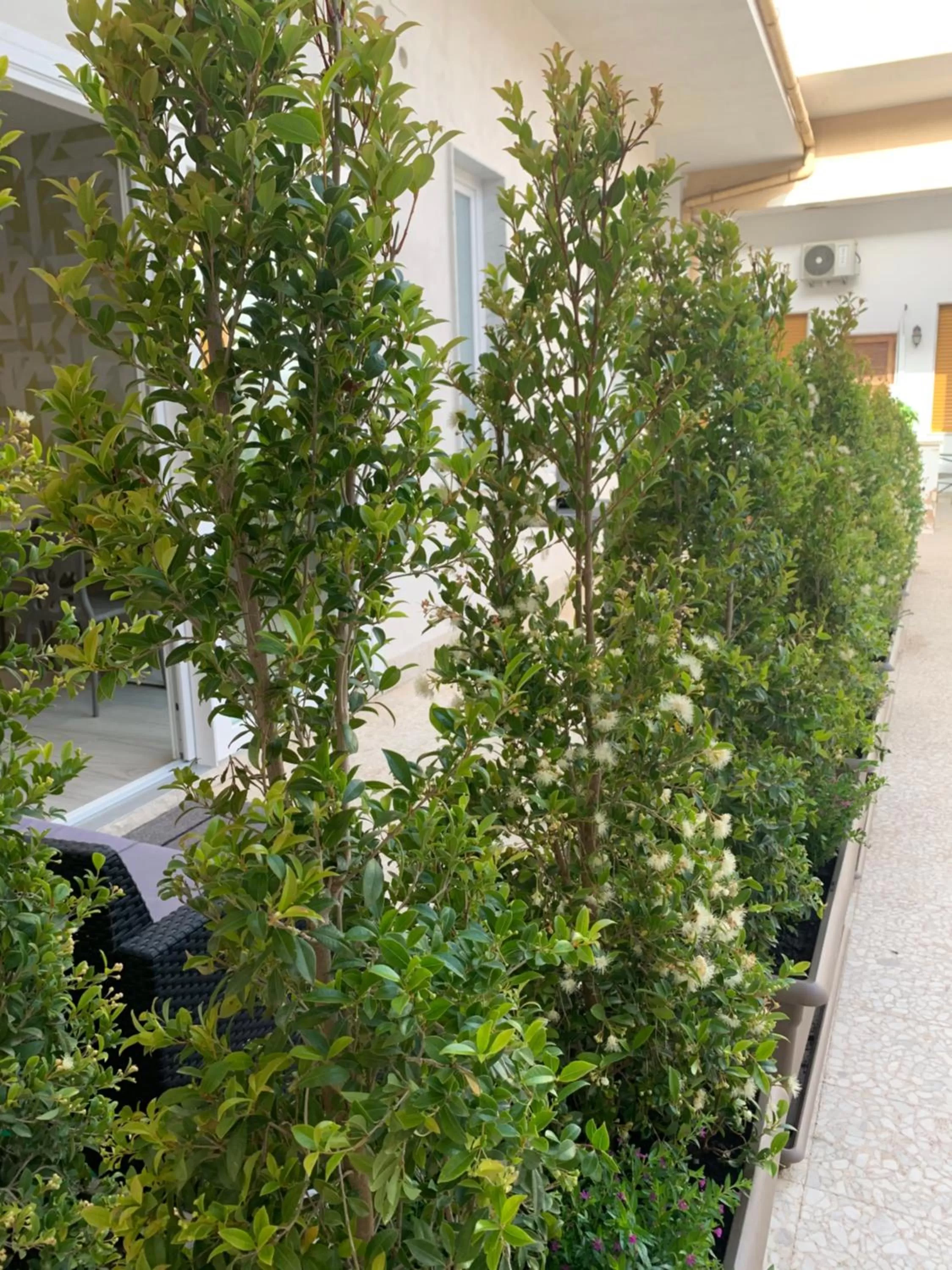 Patio in Thalya Luxury Rooms