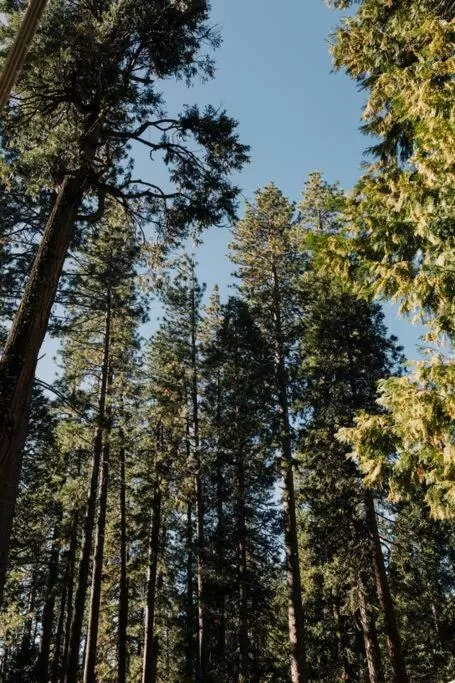 Natural landscape in The Long Barn Lodge