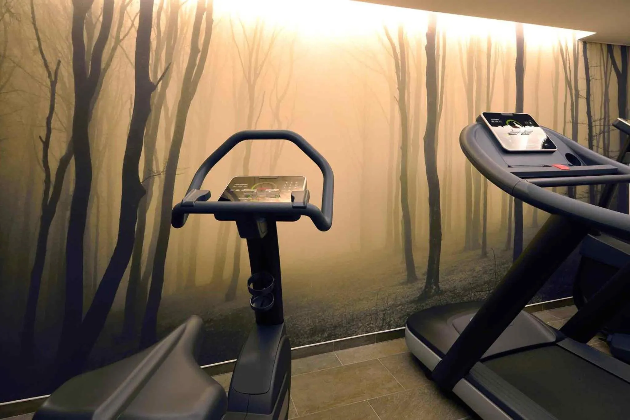 Fitness centre/facilities in Balthazar Hotel & Spa Rennes - MGallery Collection