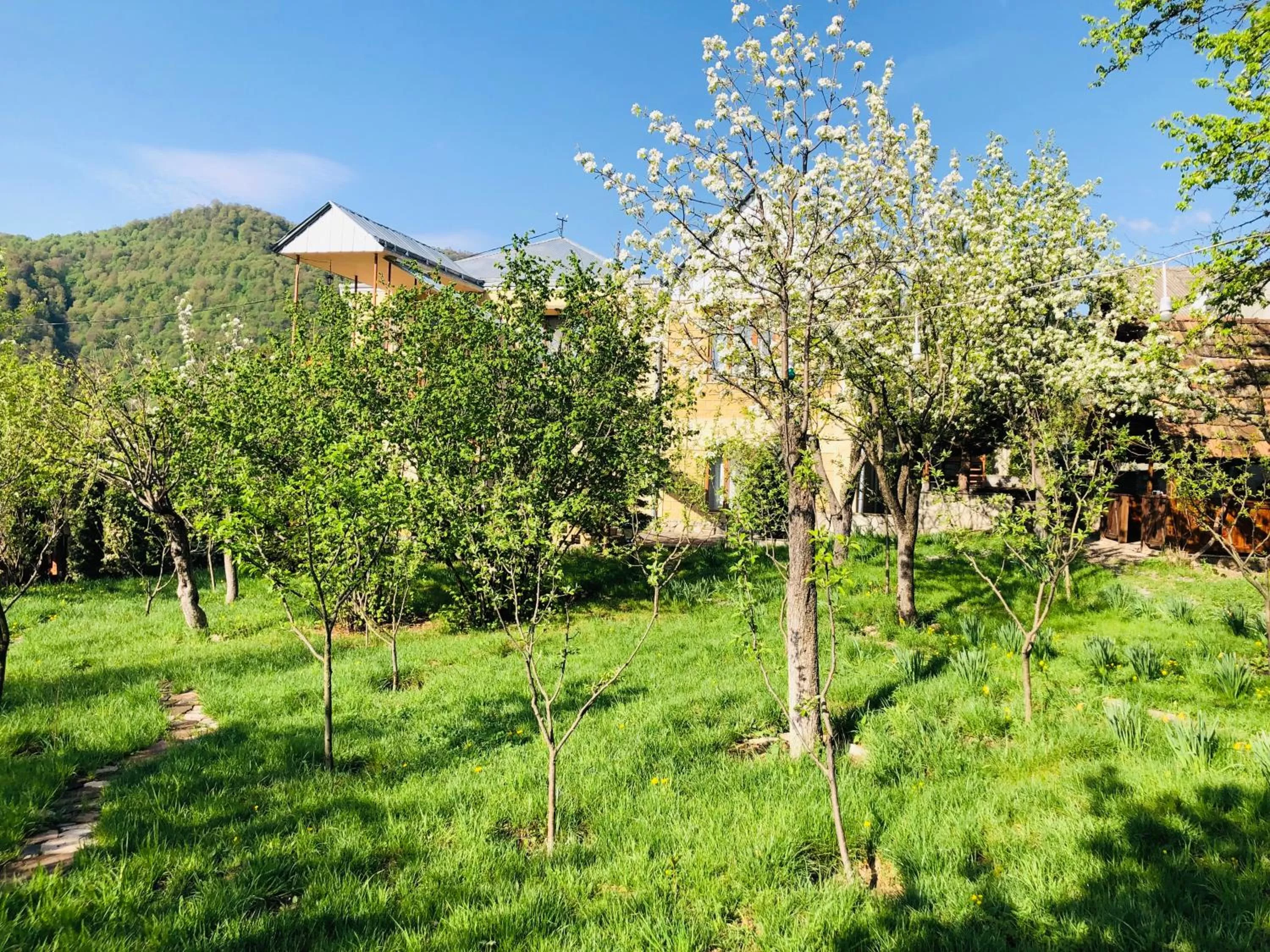 Property building, Garden in Dil Hill by Sam