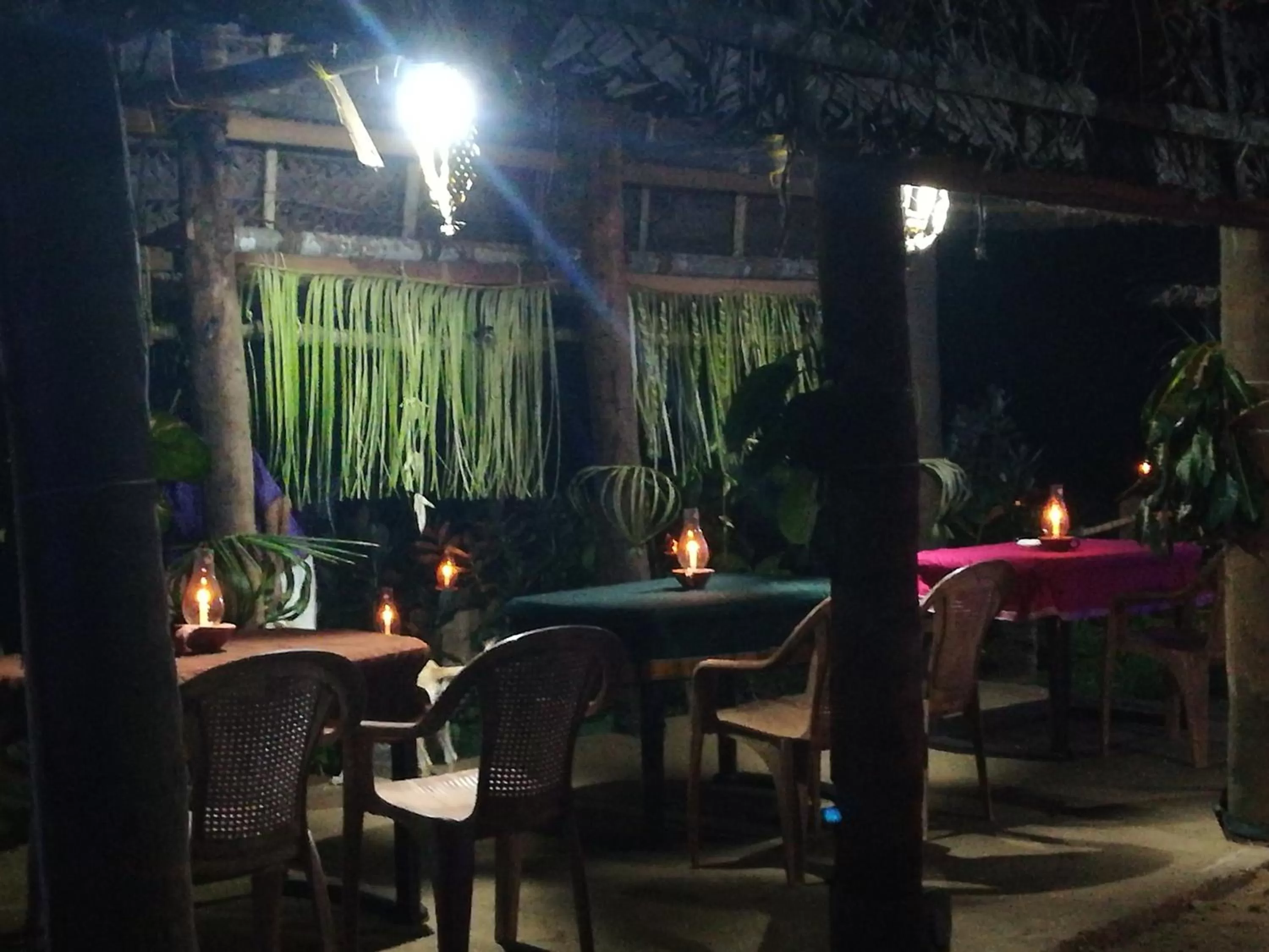 Restaurant/places to eat, Lounge/Bar in Sukriti beach Resort