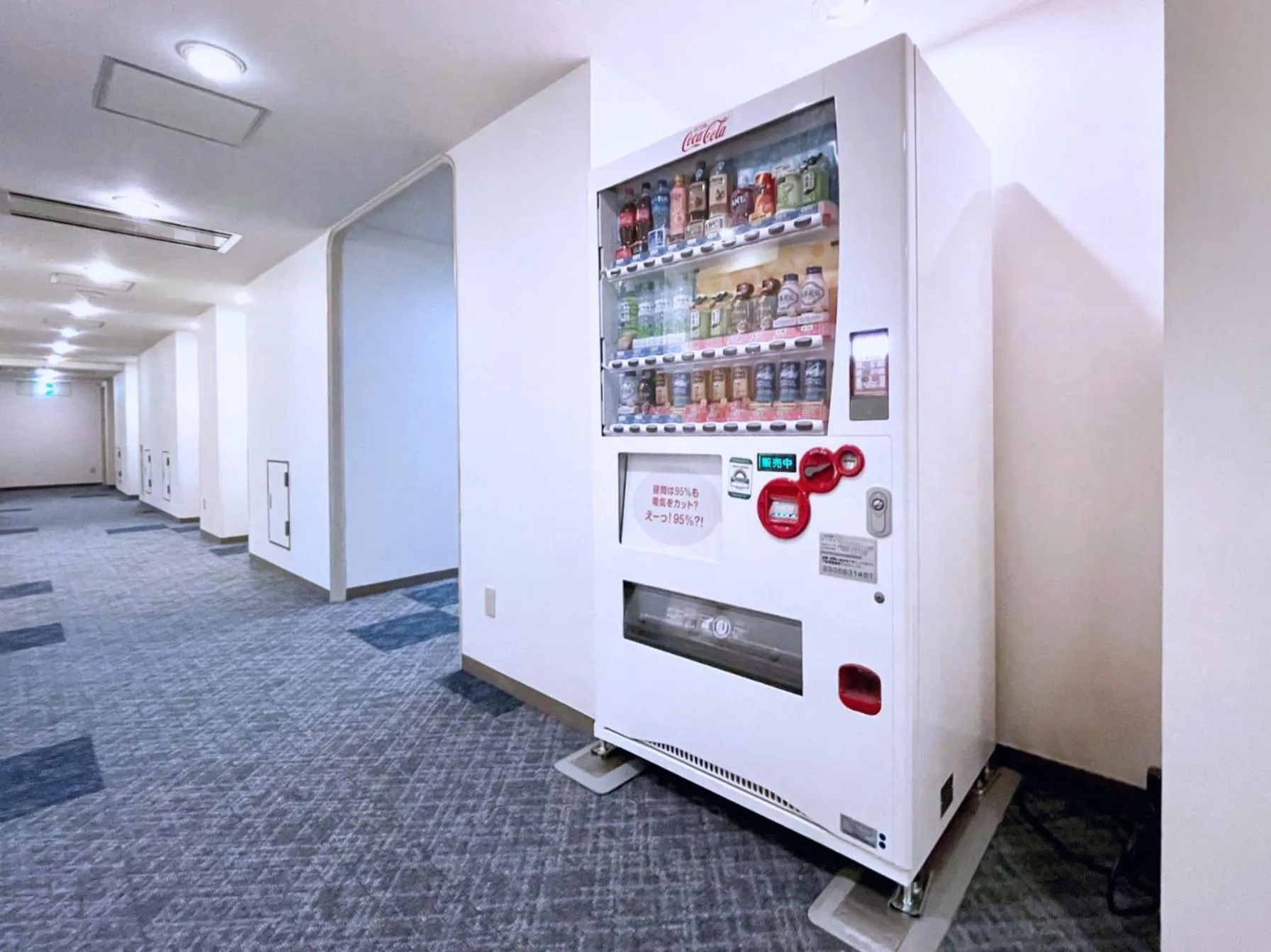 Area and facilities in Chisun Hotel Kamata