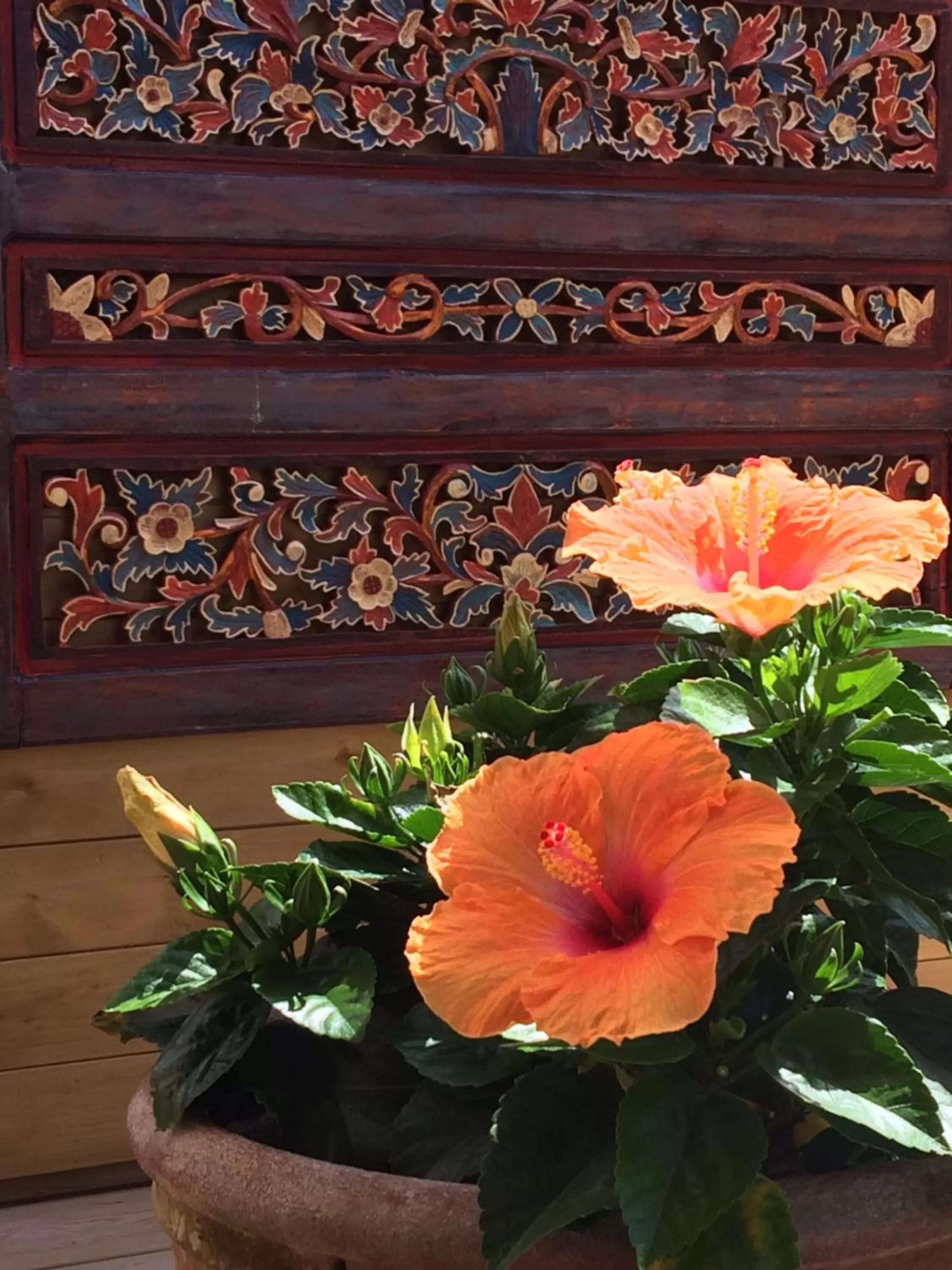 Patio in VILLA ZENITH Hostel - LA MAISON