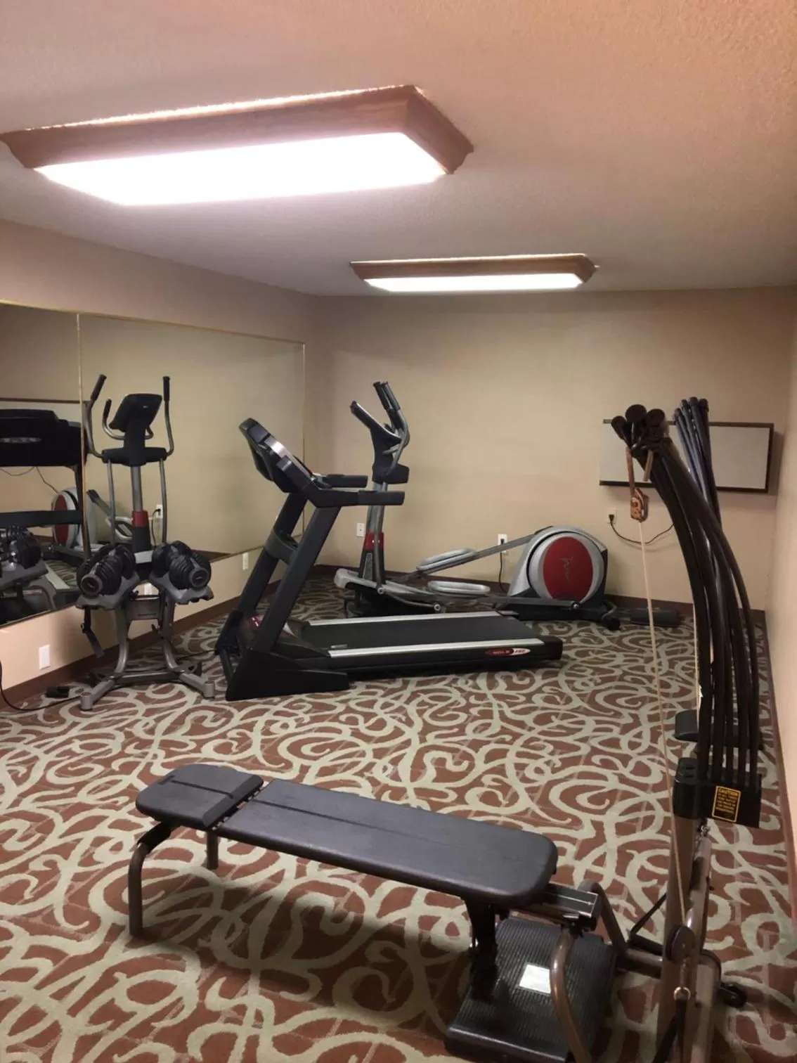 Fitness centre/facilities in Quality Inn SeaTac Airport-Seattle