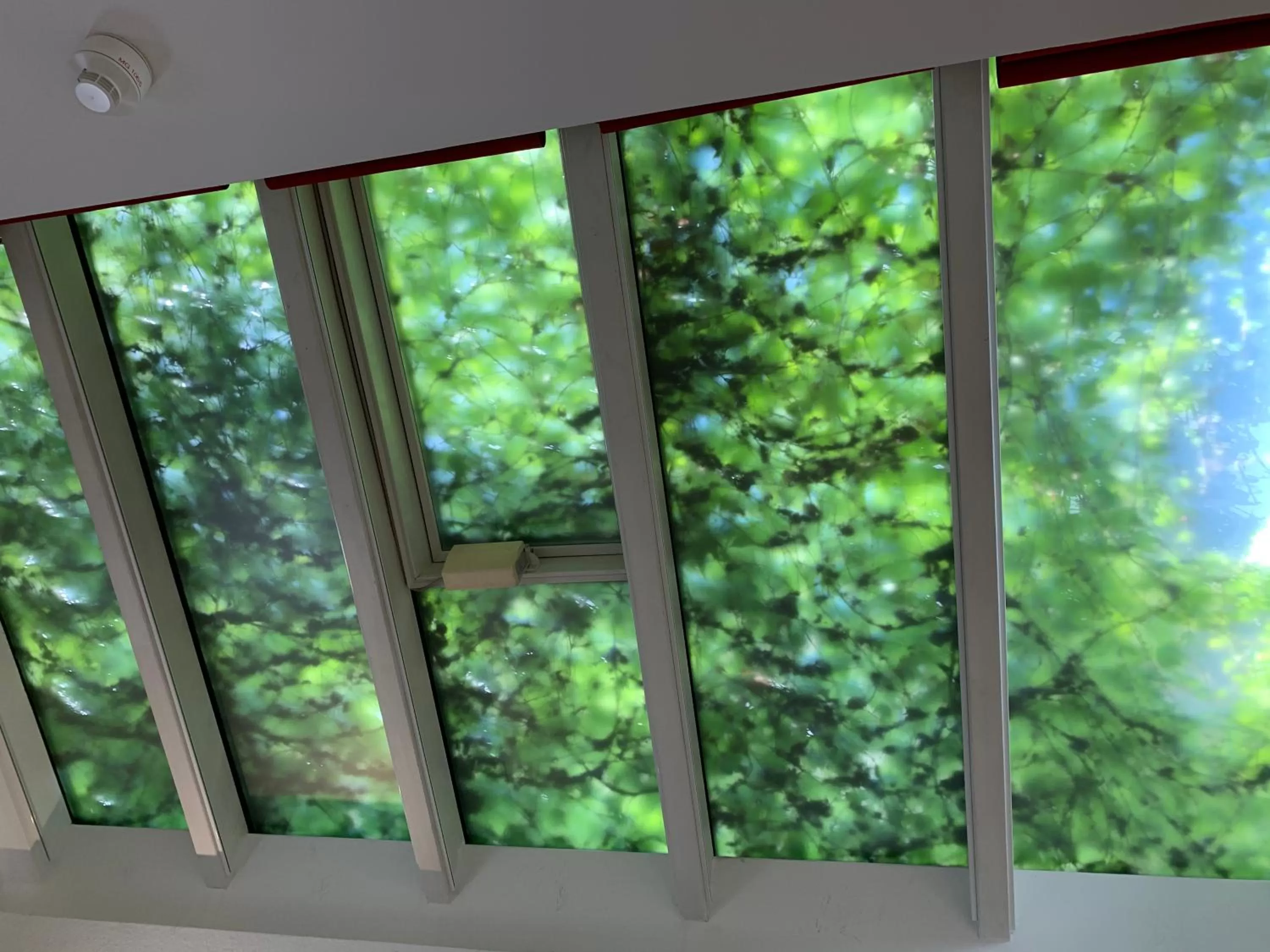 Hotel B54 Heidelberg City