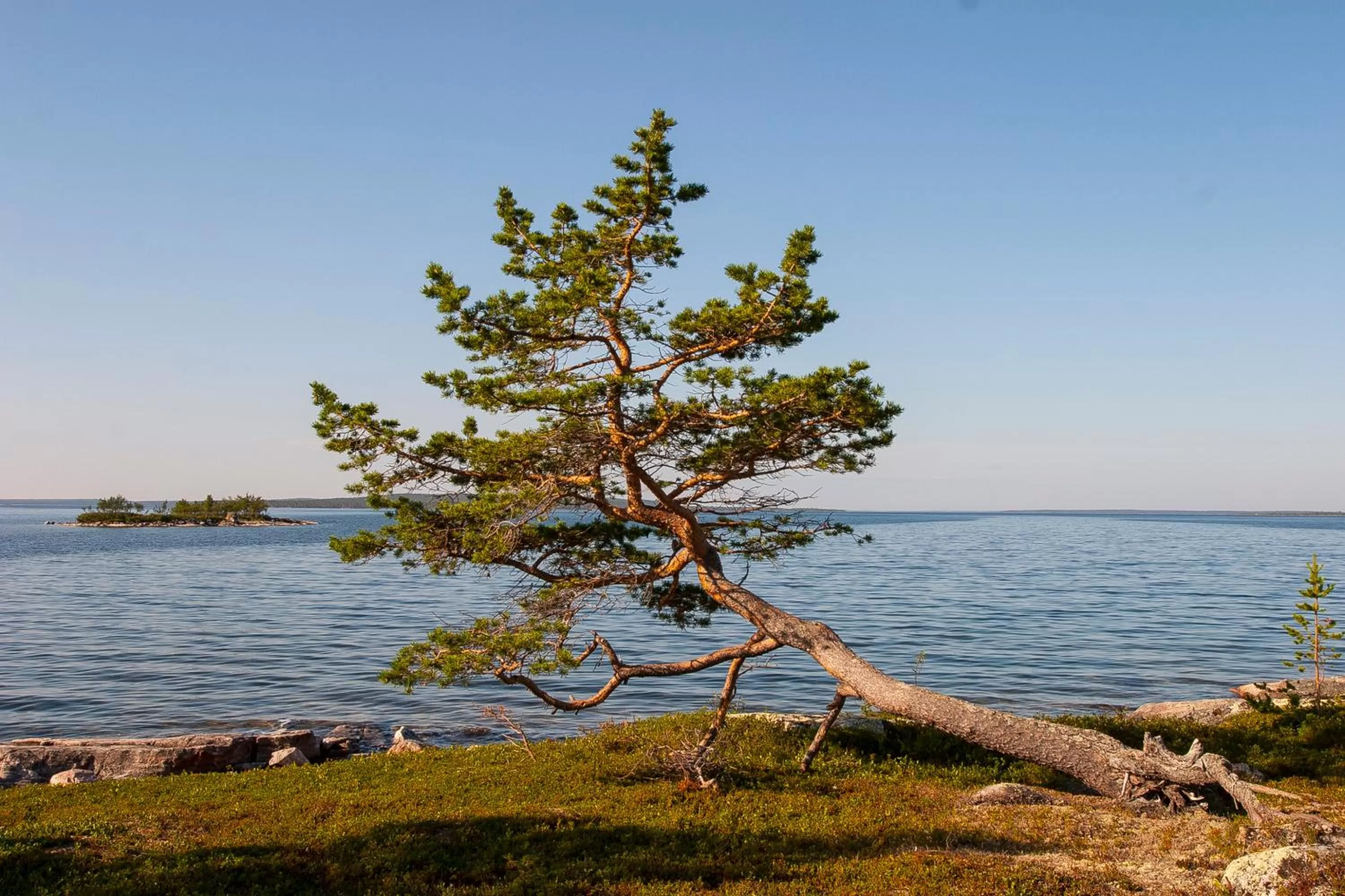 Neighbourhood in Wilderness Hotel Inari & Igloos