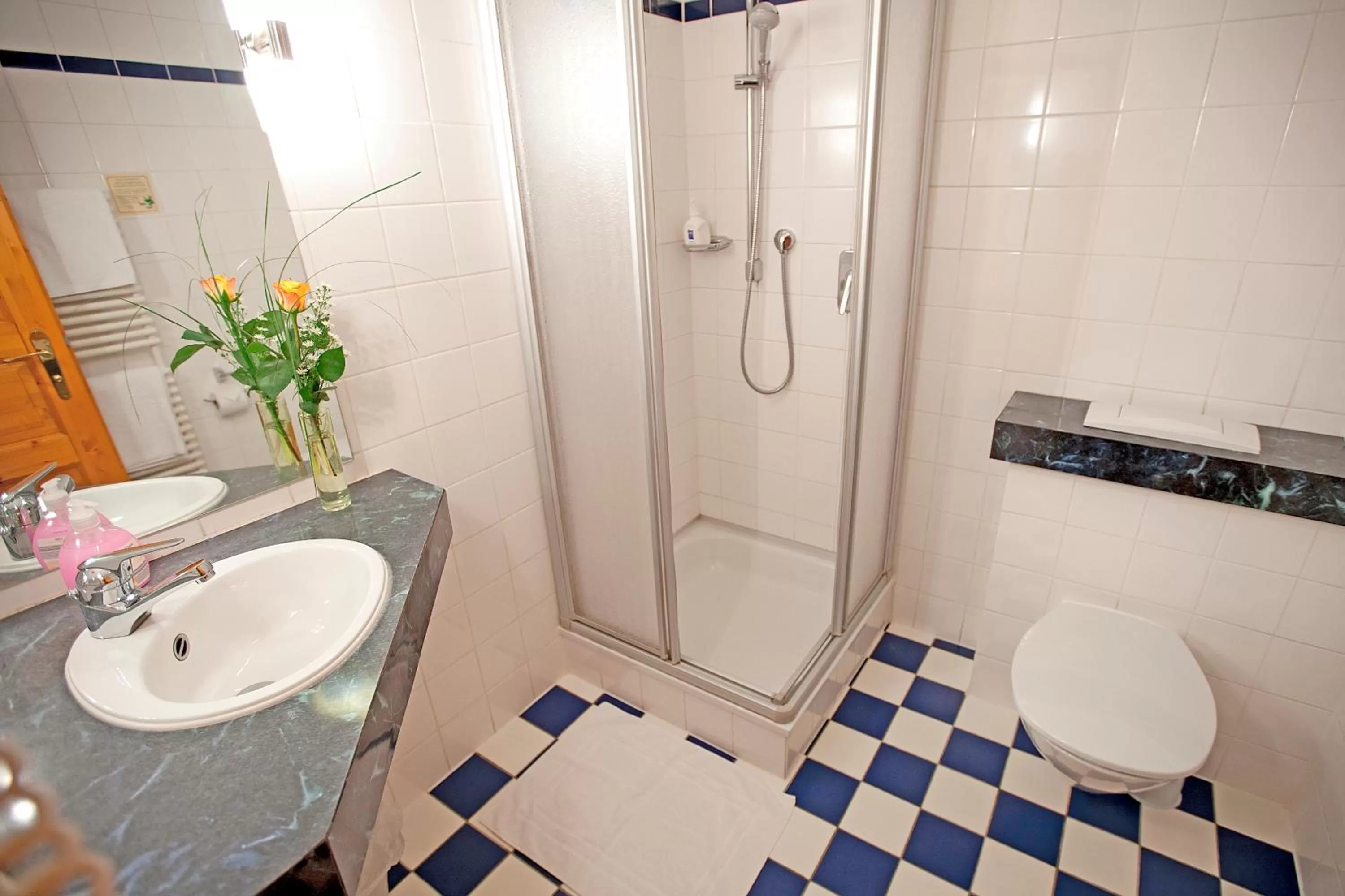 Bathroom in Hotel Schäfflerwirt