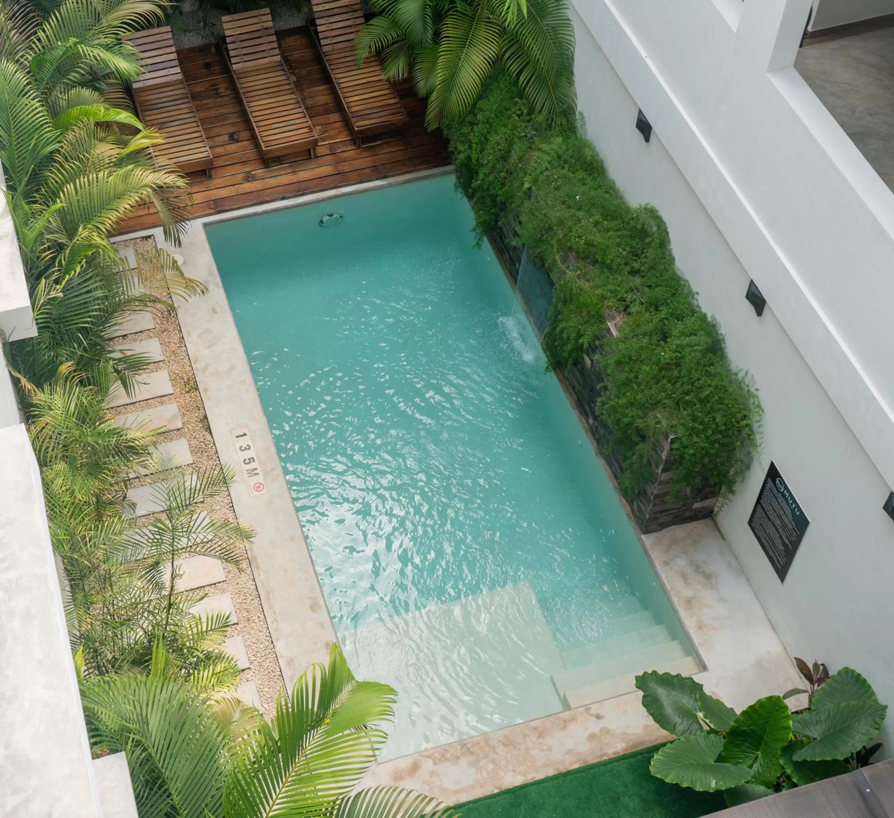 Swimming pool in Hotel Muyu Tulum