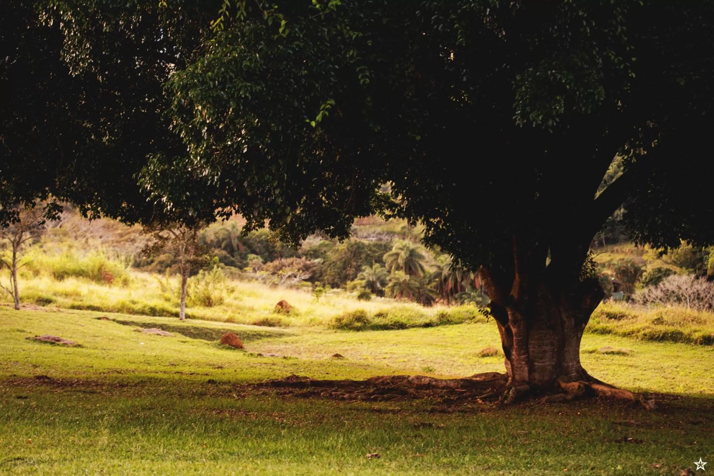 Natural landscape in Pousada Flor da Serra