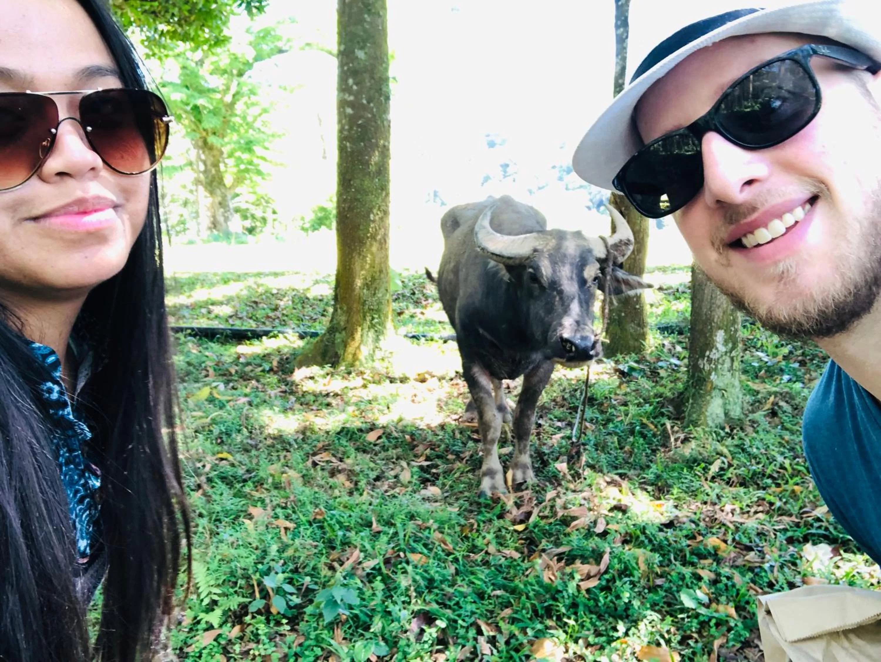 Other Animals in Bintana sa Paraiso Binunsaran