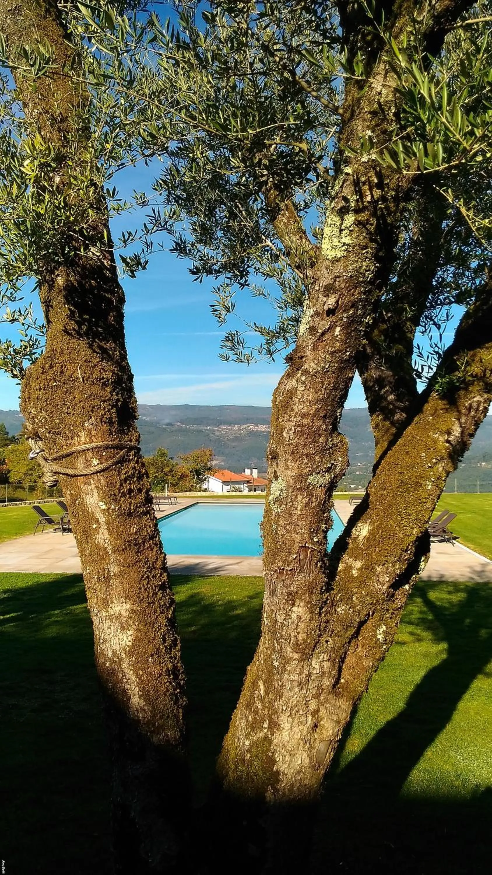 Garden in Tempus Hotel & Spa