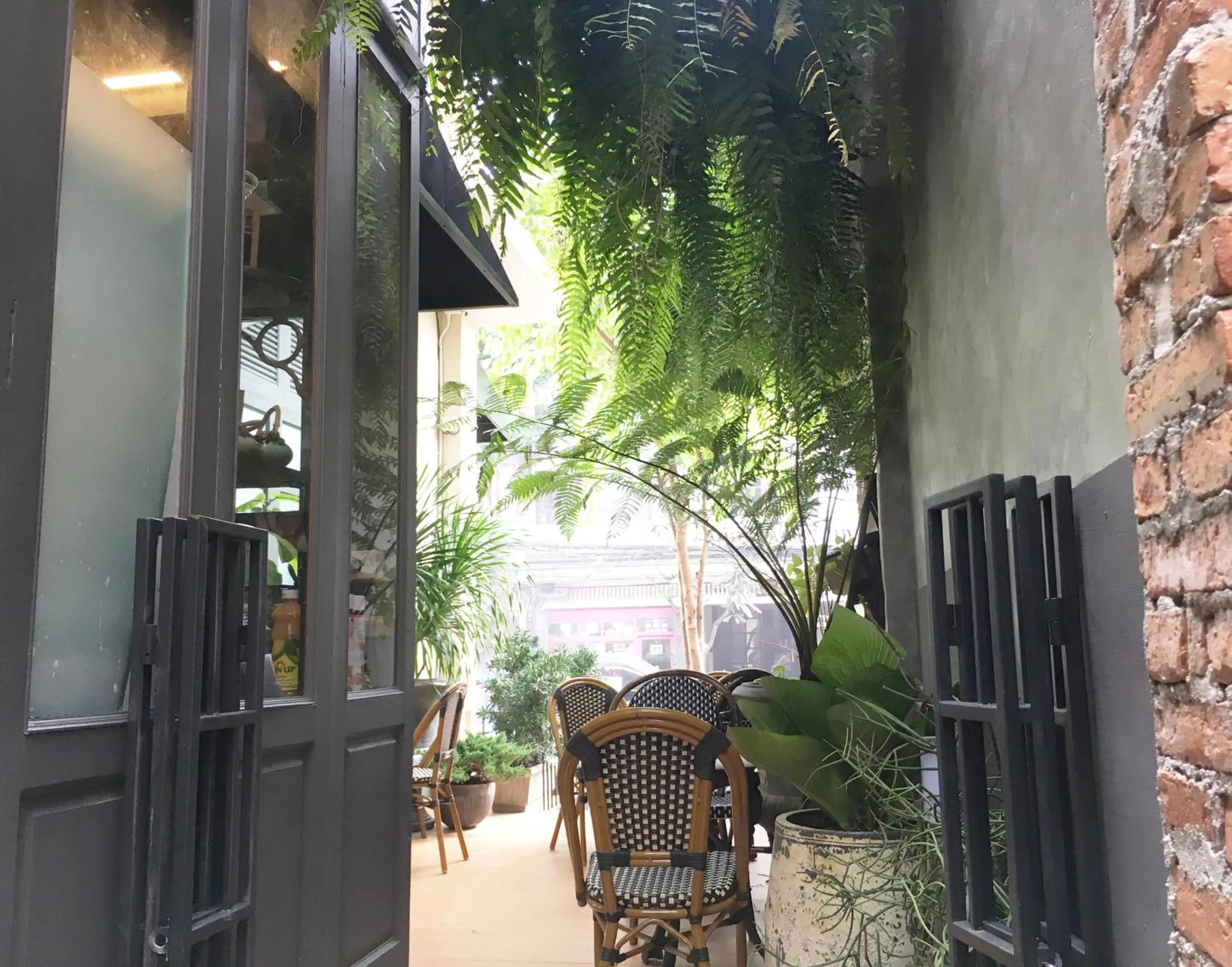 Garden in Hotel Noir