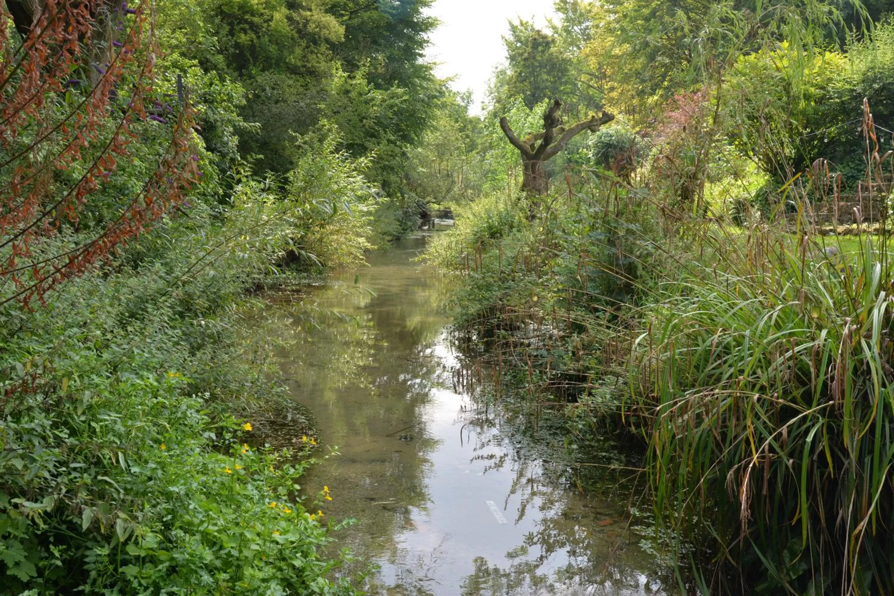 Spring, Natural Landscape in Thatchcombe B&B
