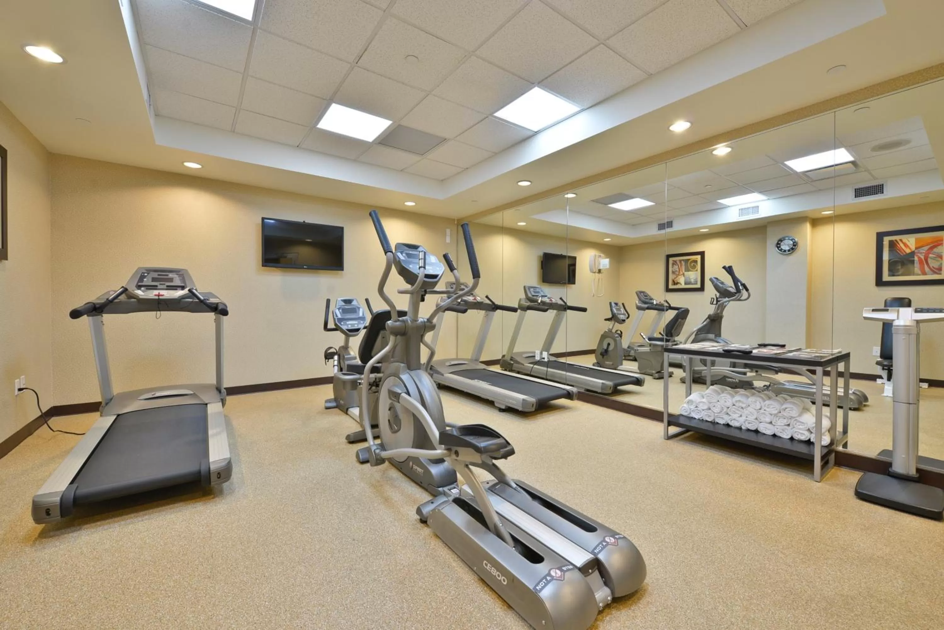 Fitness centre/facilities in Holiday Inn Lower East Side by IHG