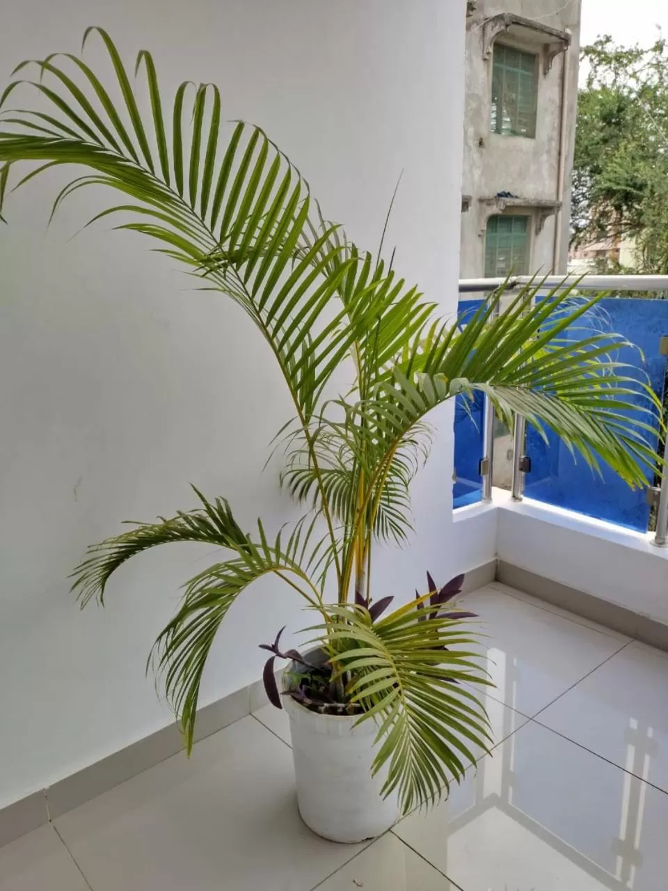 Balcony/Terrace, Pool View in 6 Park Retreat