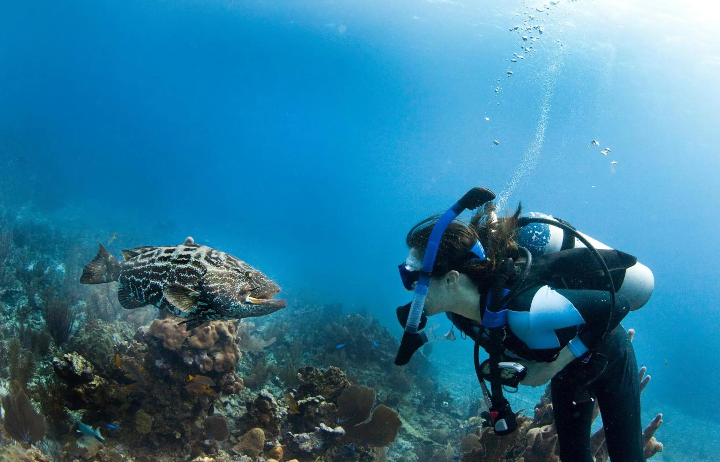 Snorkeling in Ramon's Village Resort