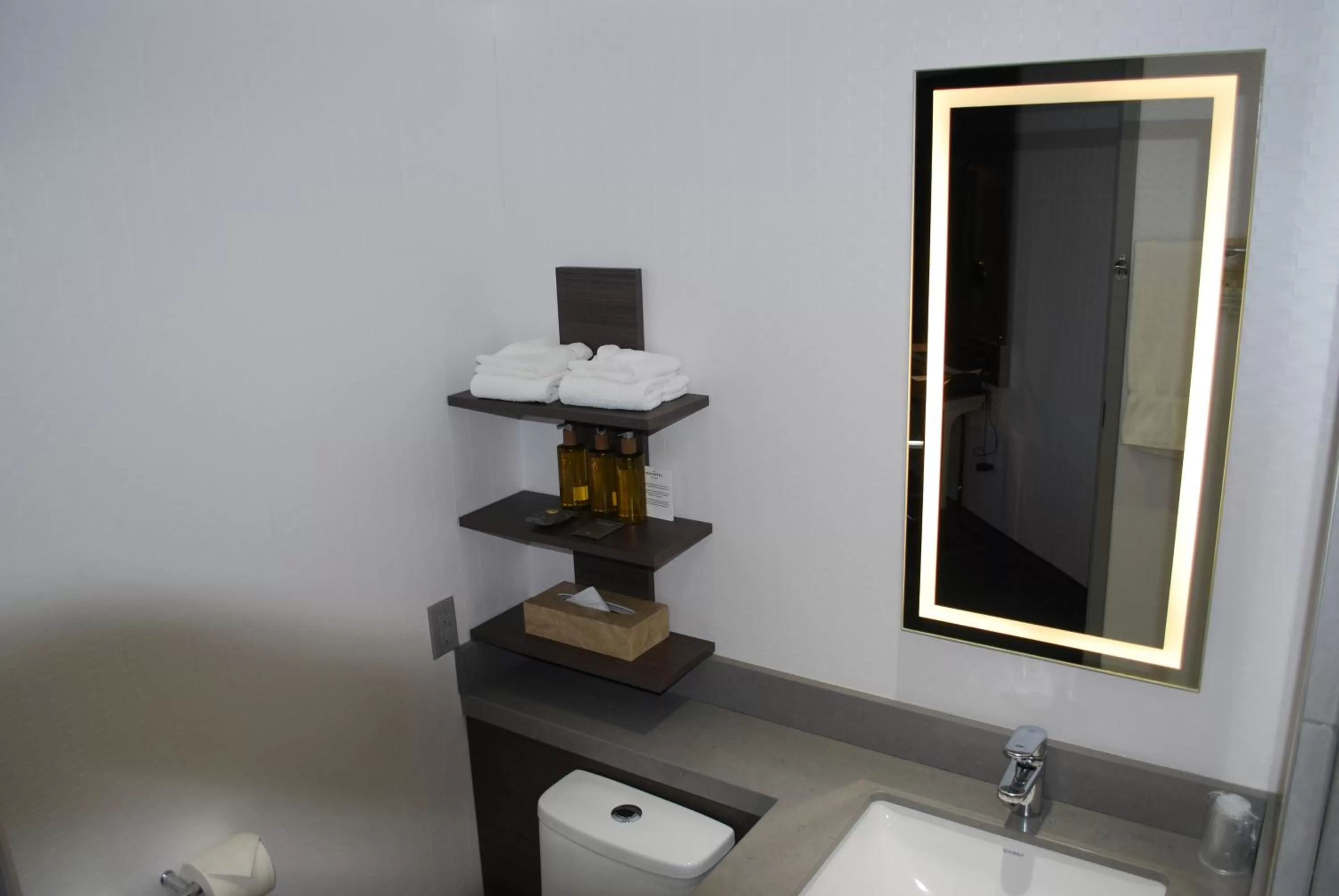 Toilet in Novotel Ottawa City Centre Hotel