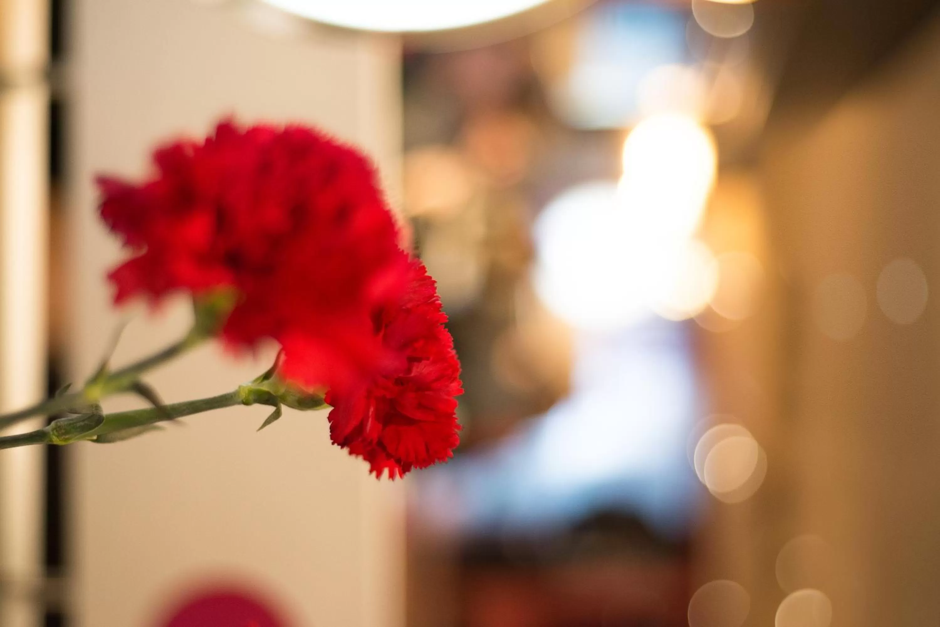 Decorative detail in Hotel Amaris