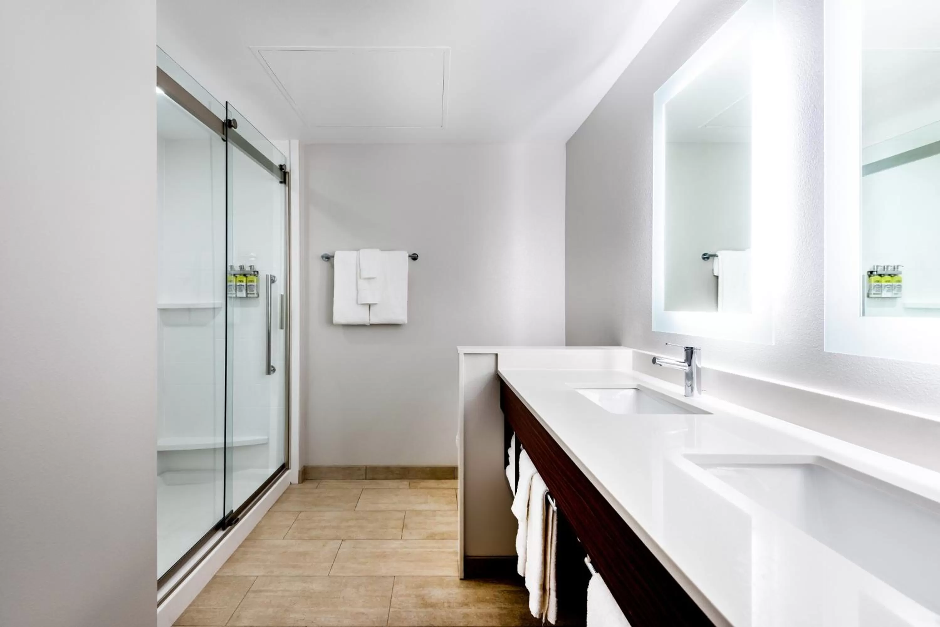 Bathroom in Holiday Inn Express & Suites Santa Ana - Orange County by IHG