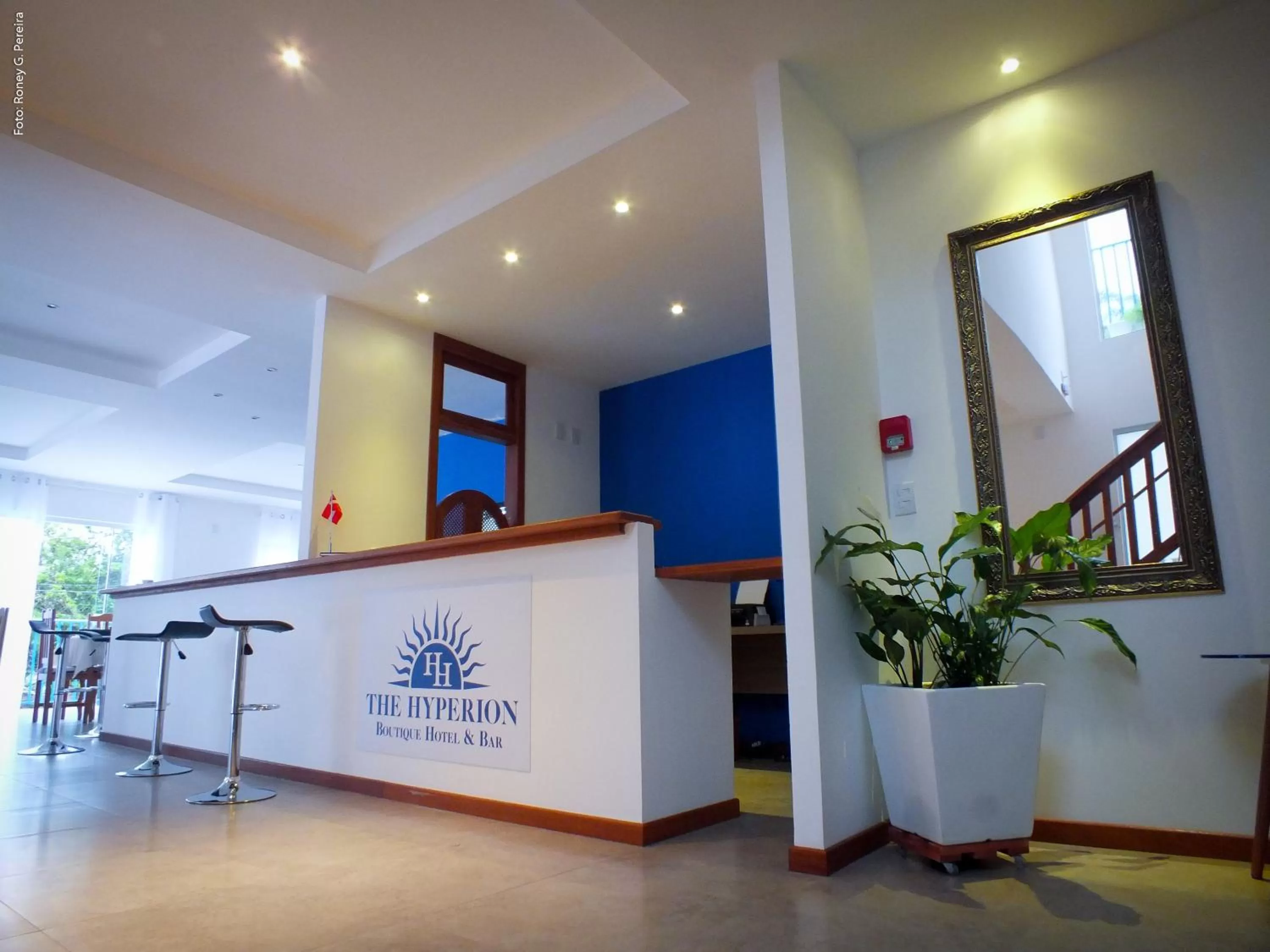 Toilet, Lobby/Reception in The Hyperion Boutique Hotel