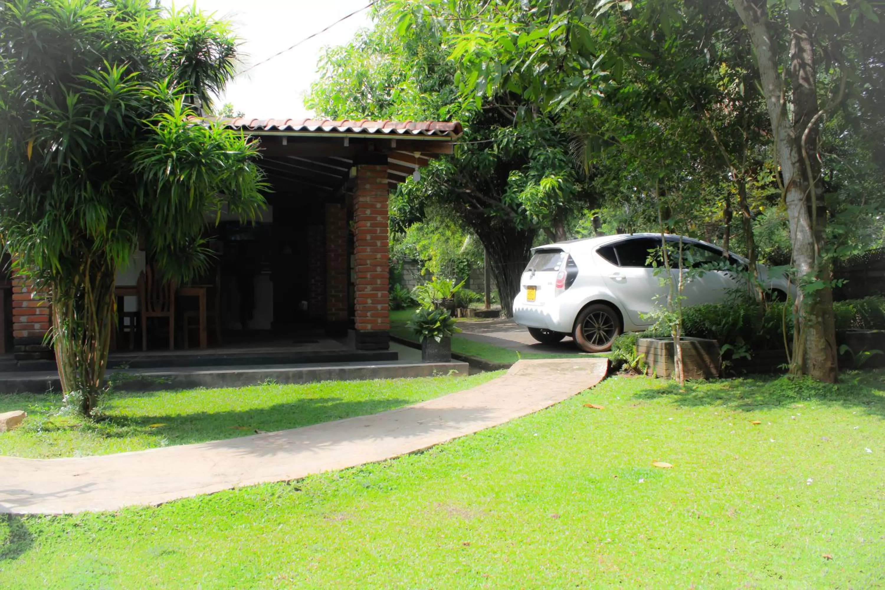 Garden in Green Cottage