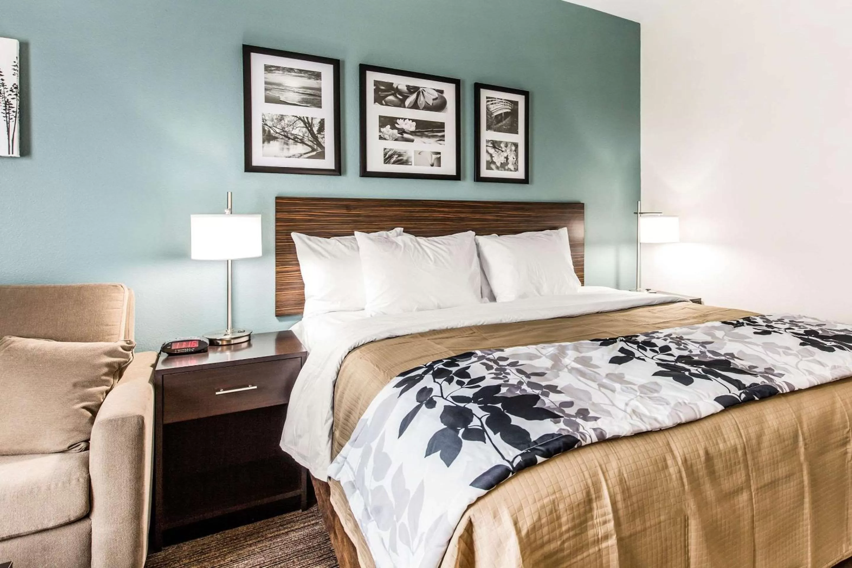 Photo of the whole room, Bed in Sleep Inn & Suites Bryan - College Station