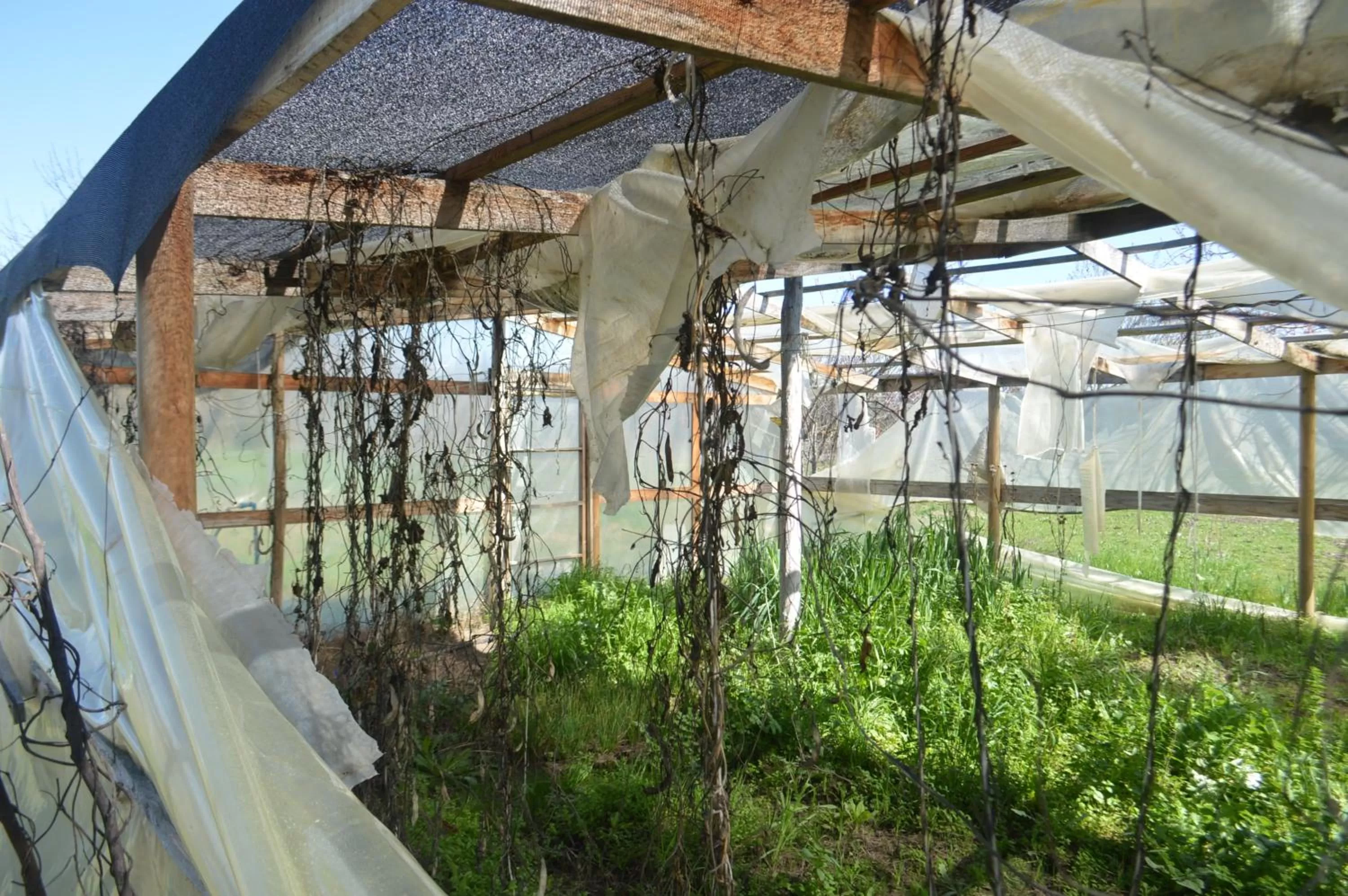 Coyunche Cabañas y Camping Laja & San Rosendo