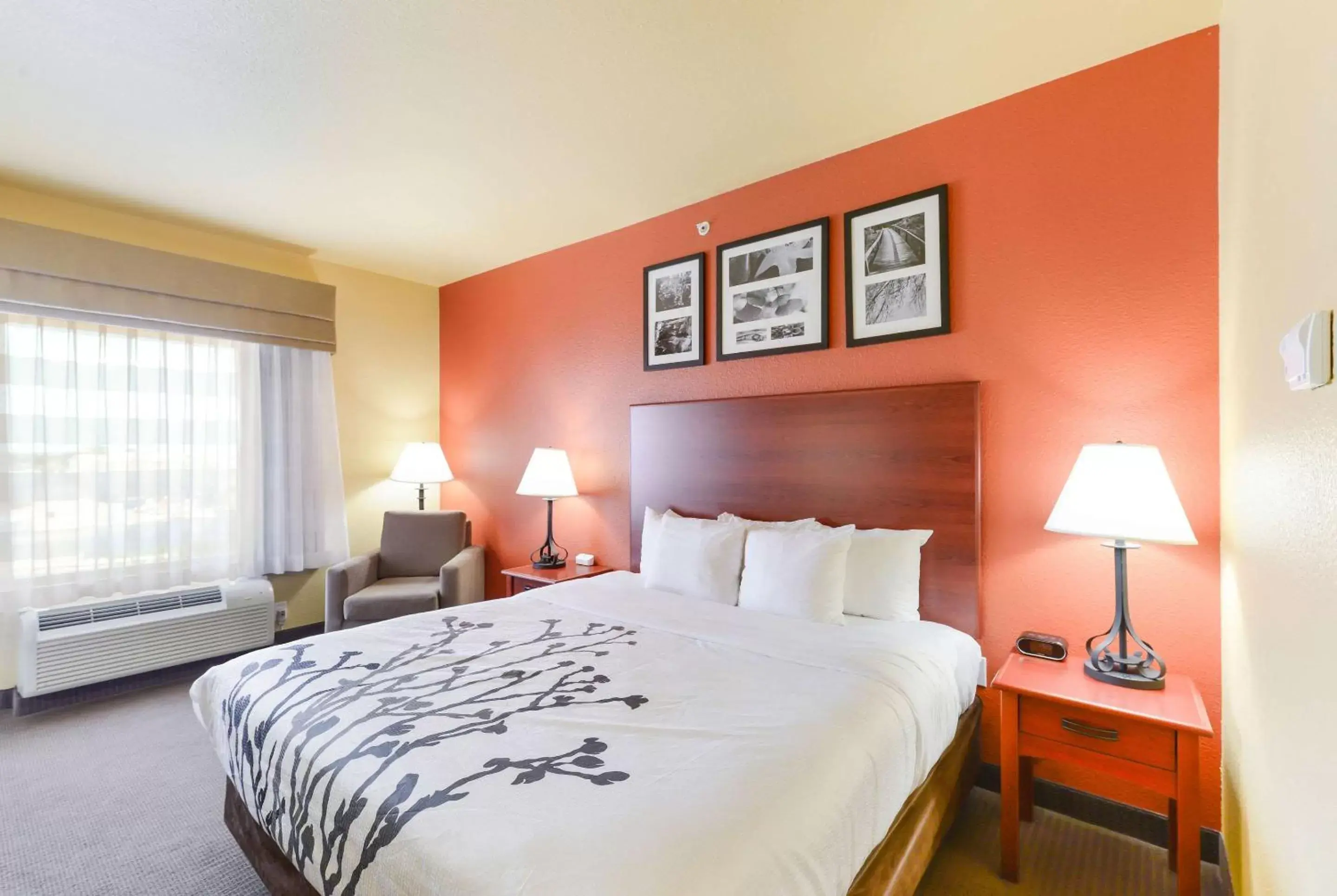 King Room - Accessible/Non-Smoking in Sleep Inn & Suites Midland West King Room - Accessible/Non-Smoking in Sleep Inn & Suites Midland West