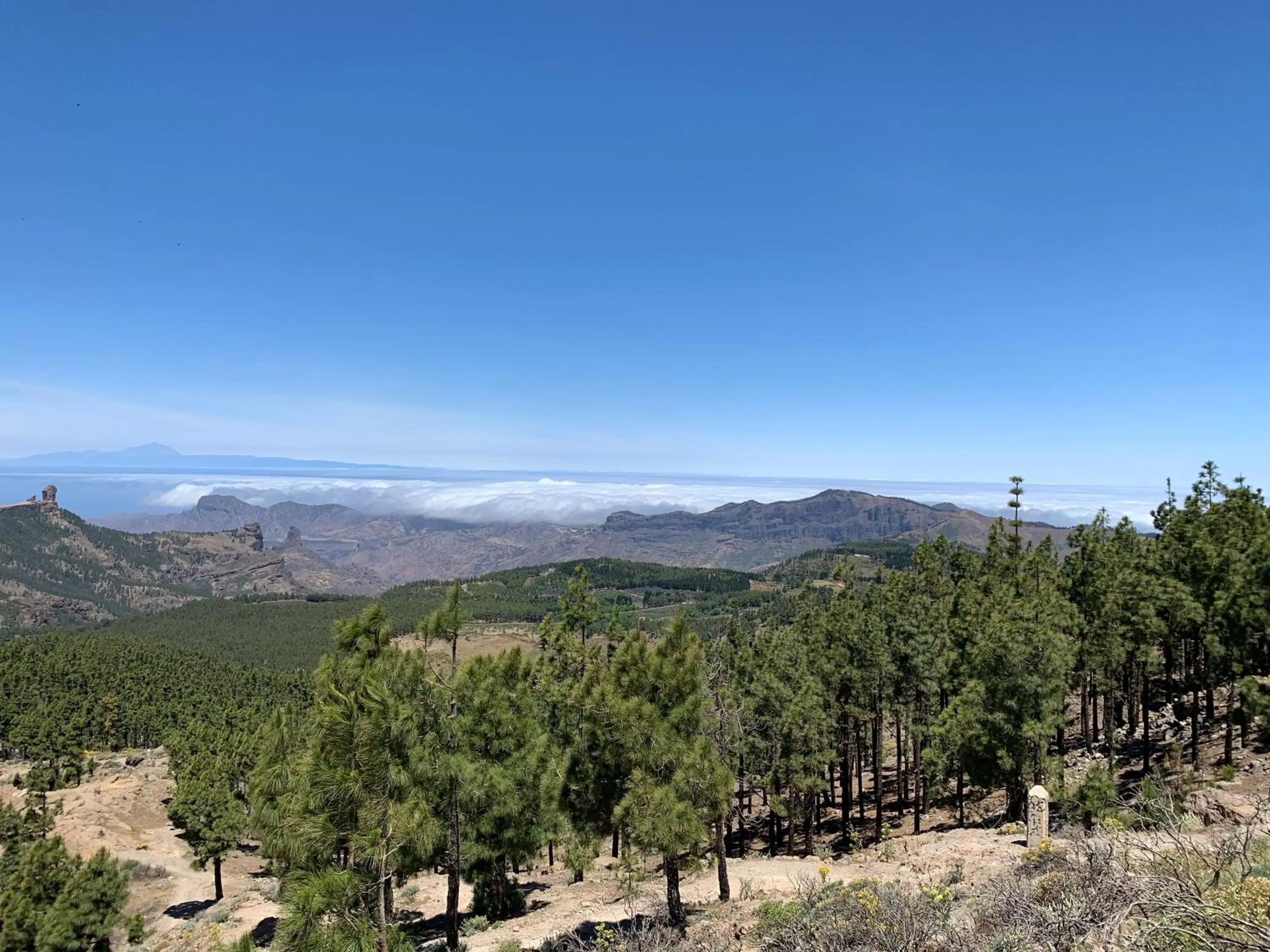 Natural landscape in Villa Rosaura