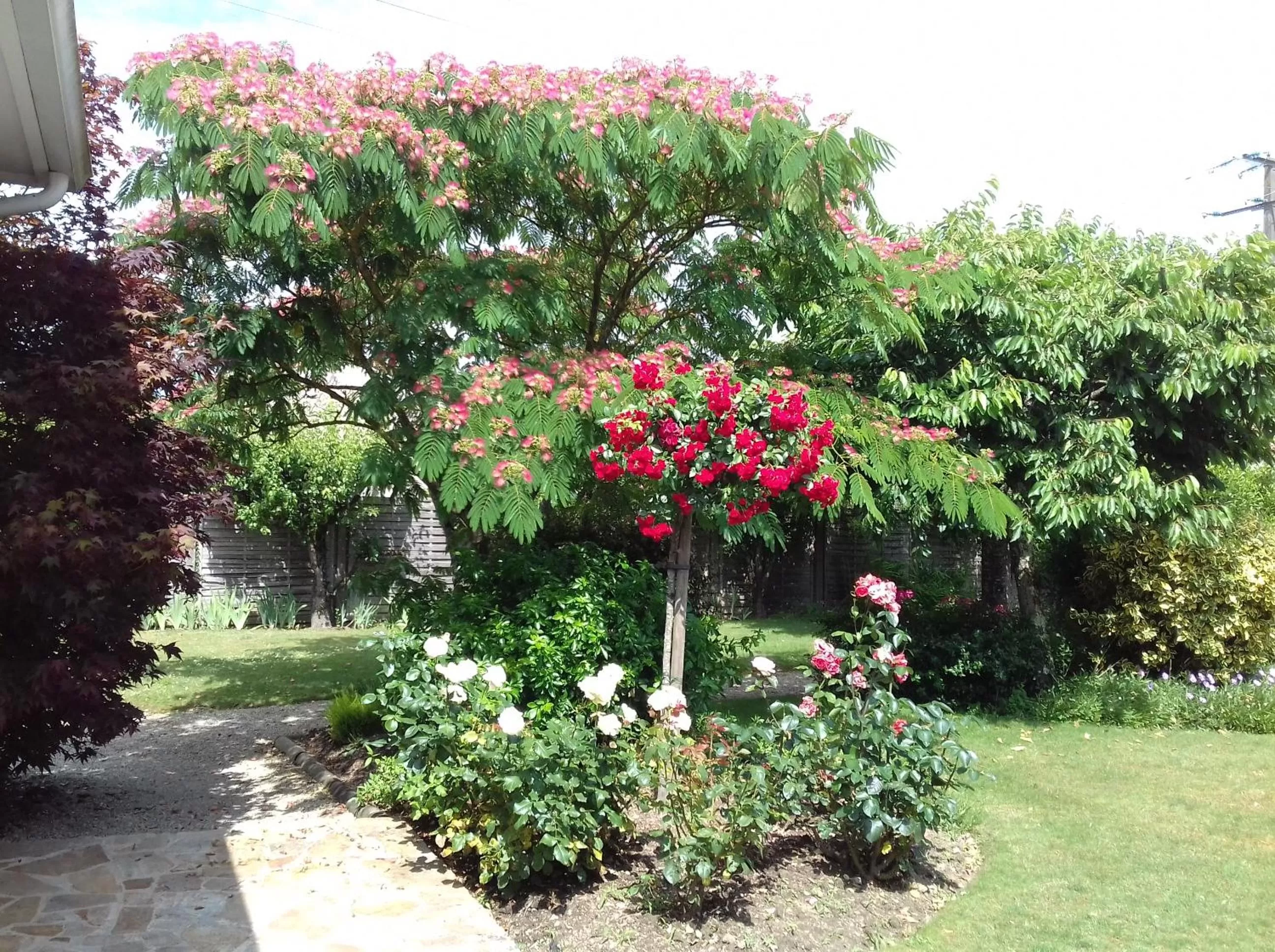 Garden view in Chambres d'Hôtes Le Mûrier