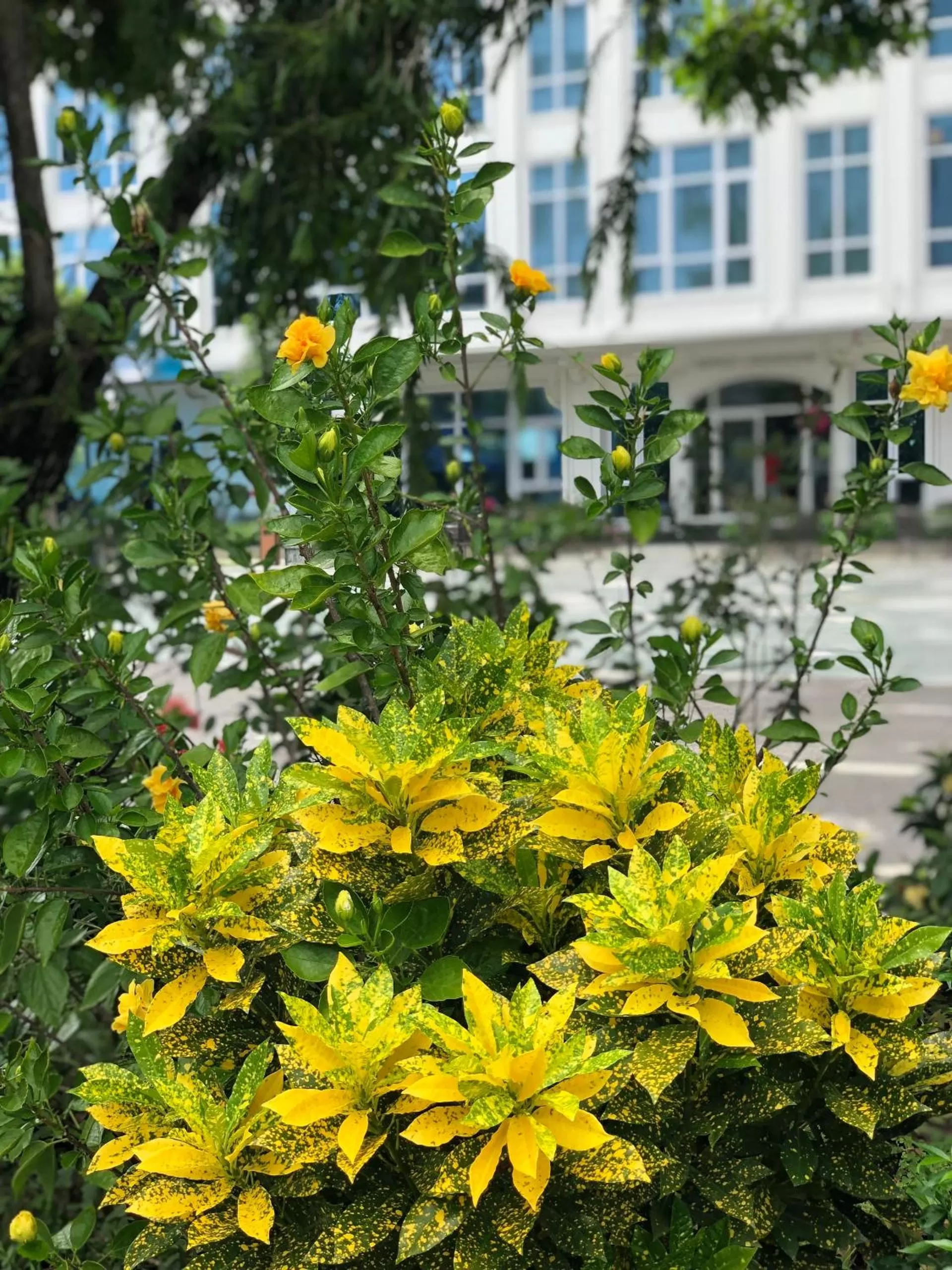 Garden in Ninh Binh Legend Hotel