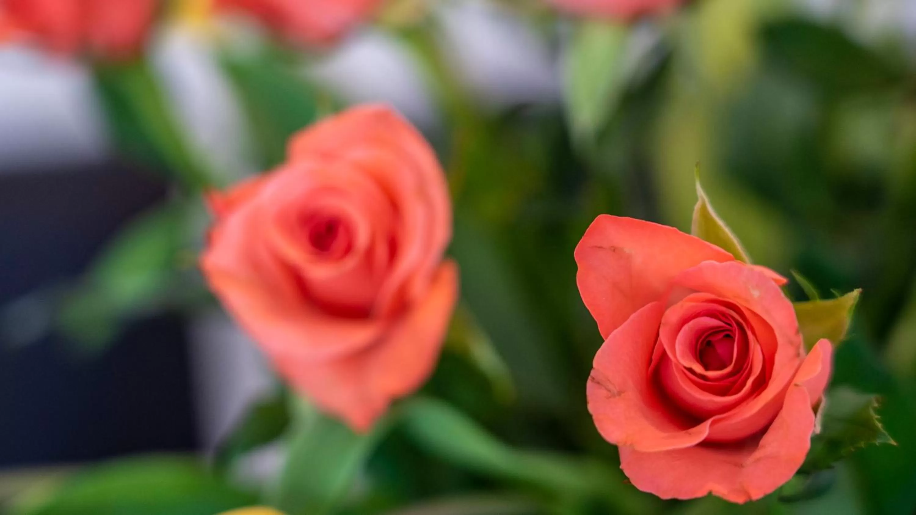 Decorative detail in De Heek