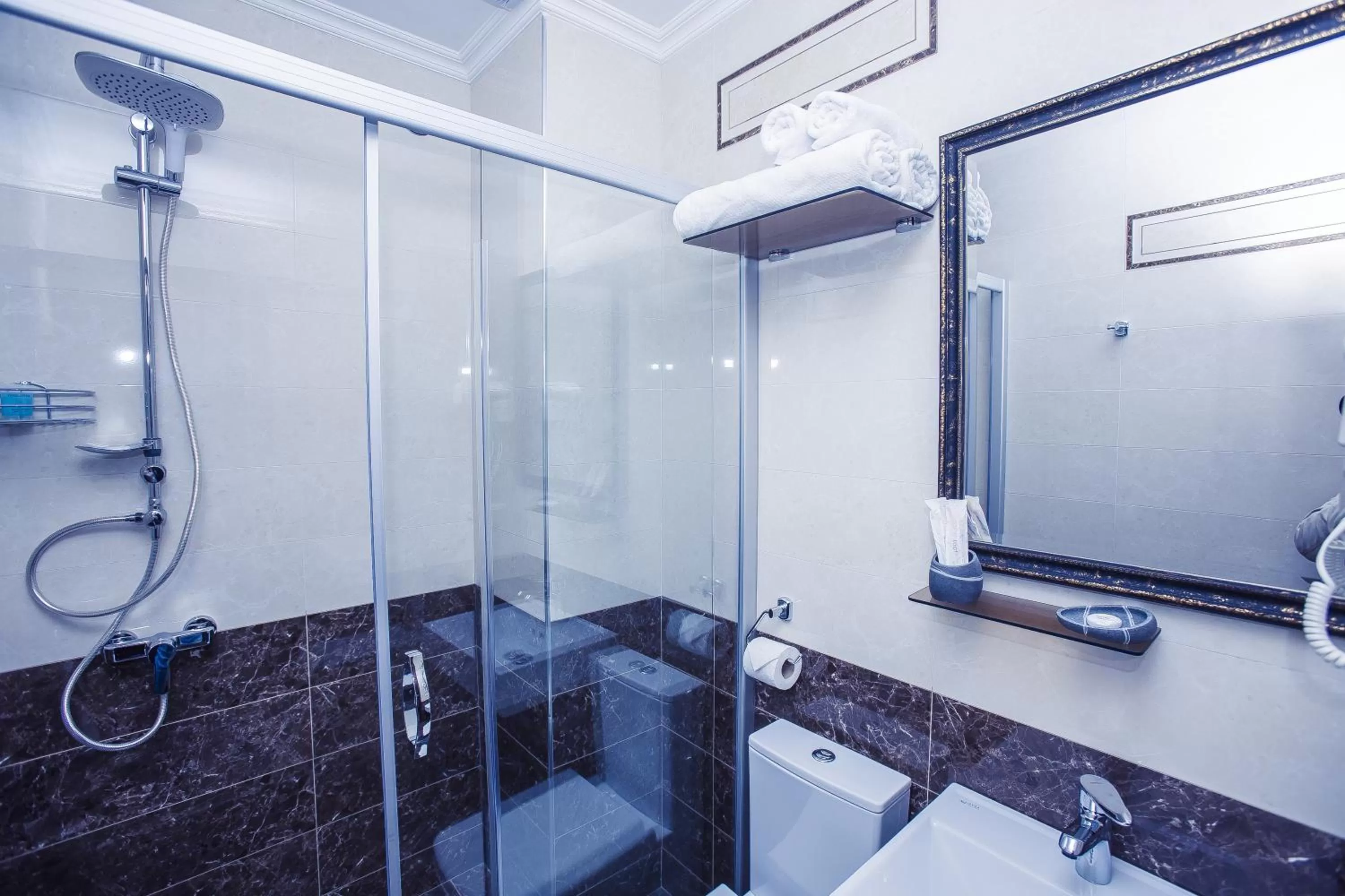 Shower, Bathroom in Royal Venezia Hotel