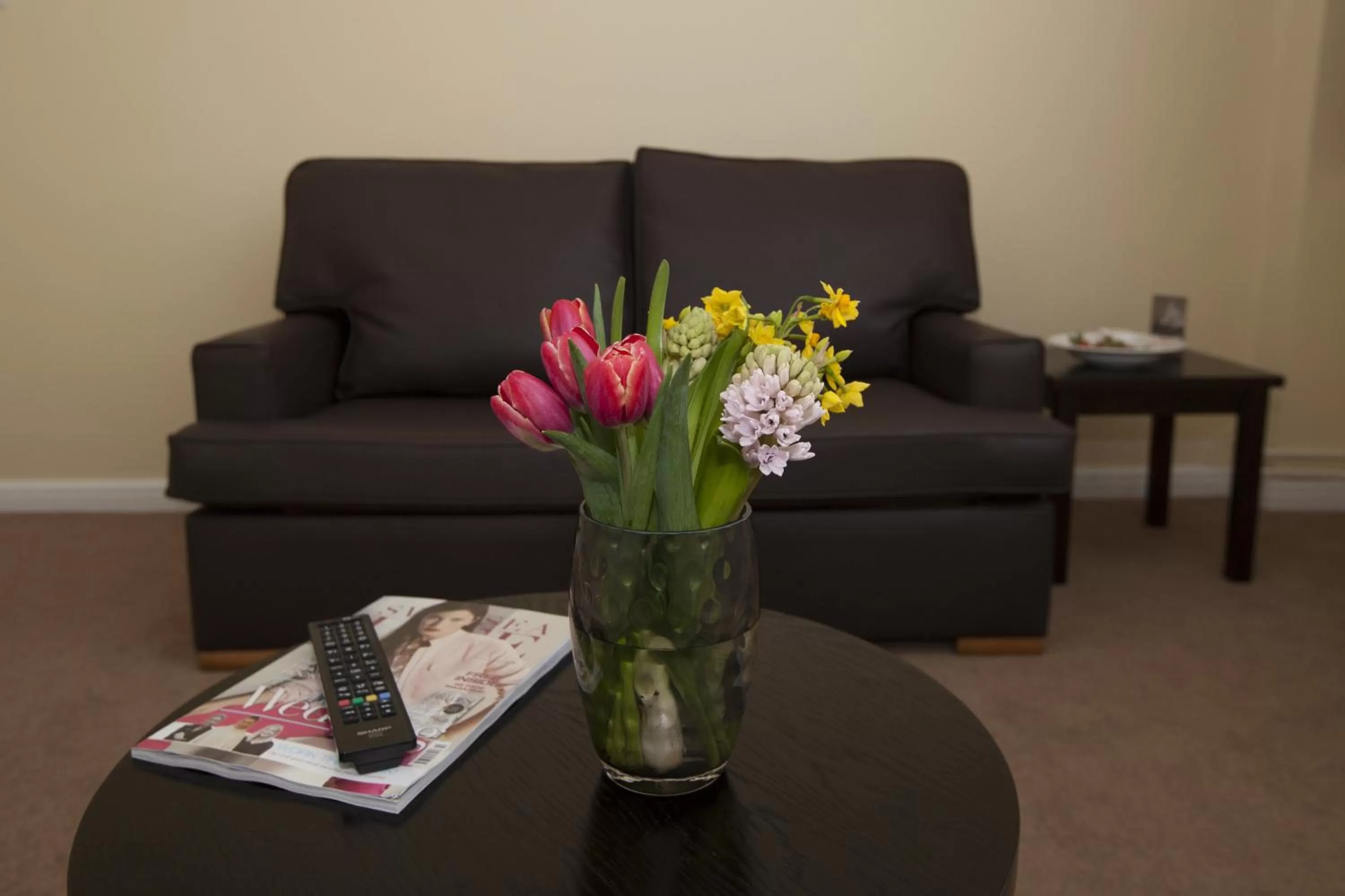 Living room in Dolphin SA1