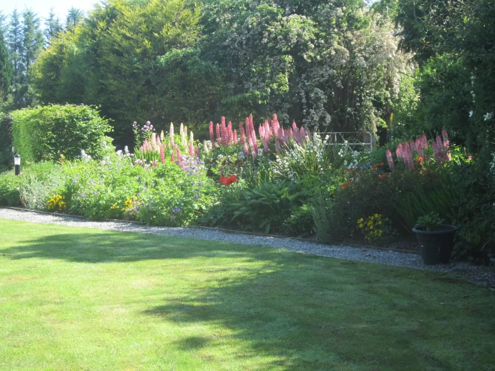 Property building in Conways B&B