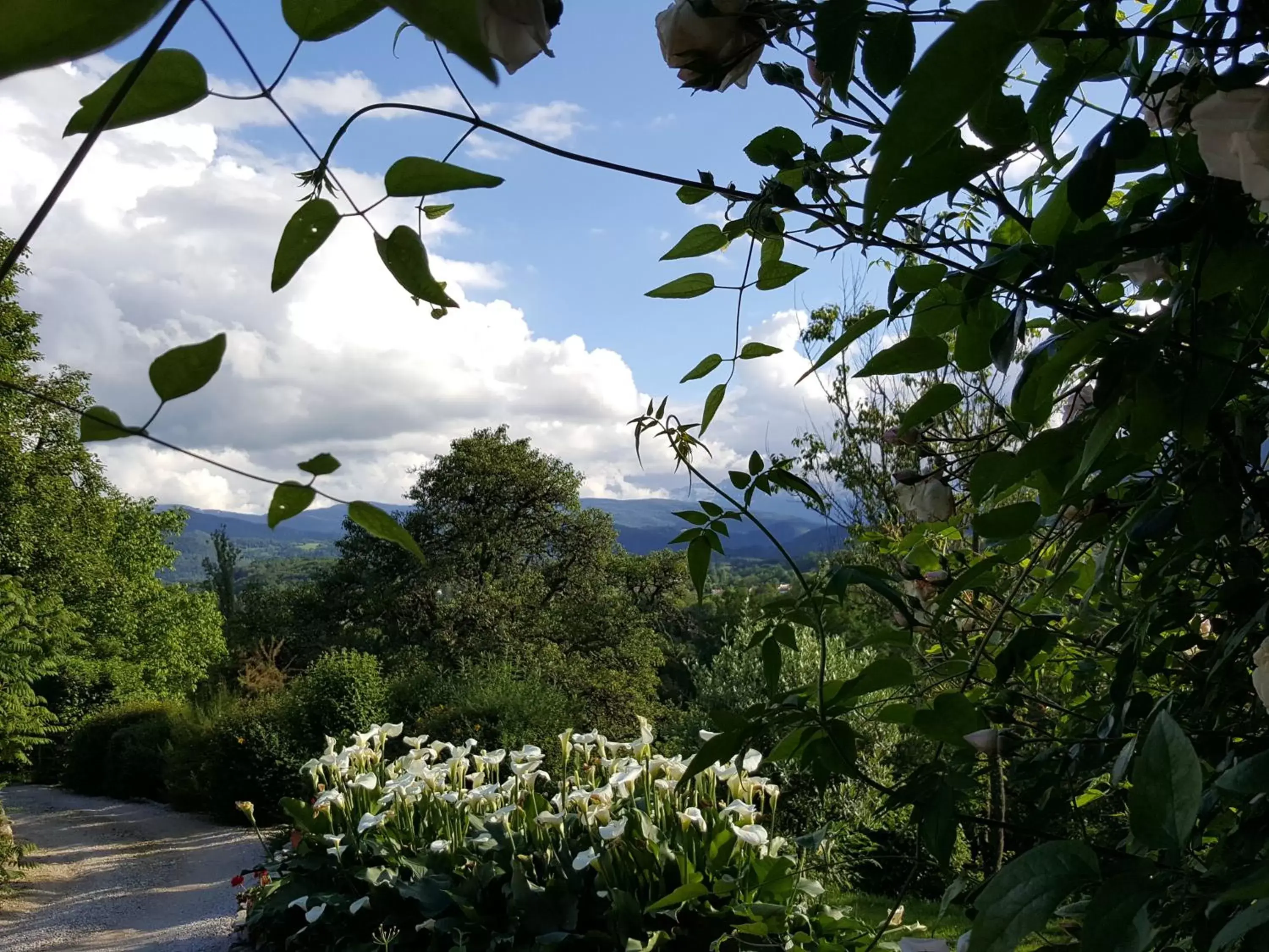 Chambres d'hôtes St Jacques Adults only Chambres d'hôtes St Jacques Adults only