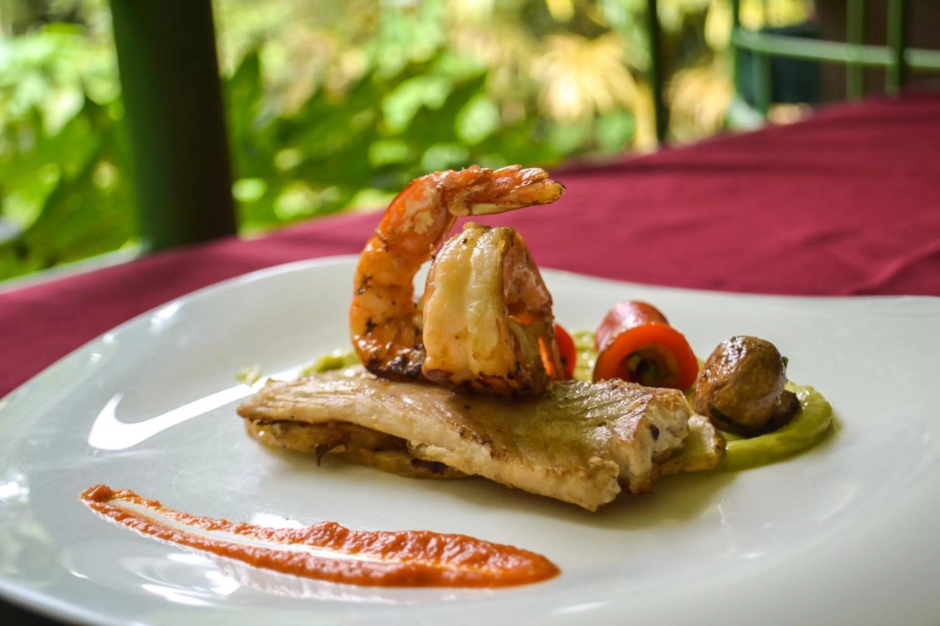Food in El Tucano Resort & Thermal Spa