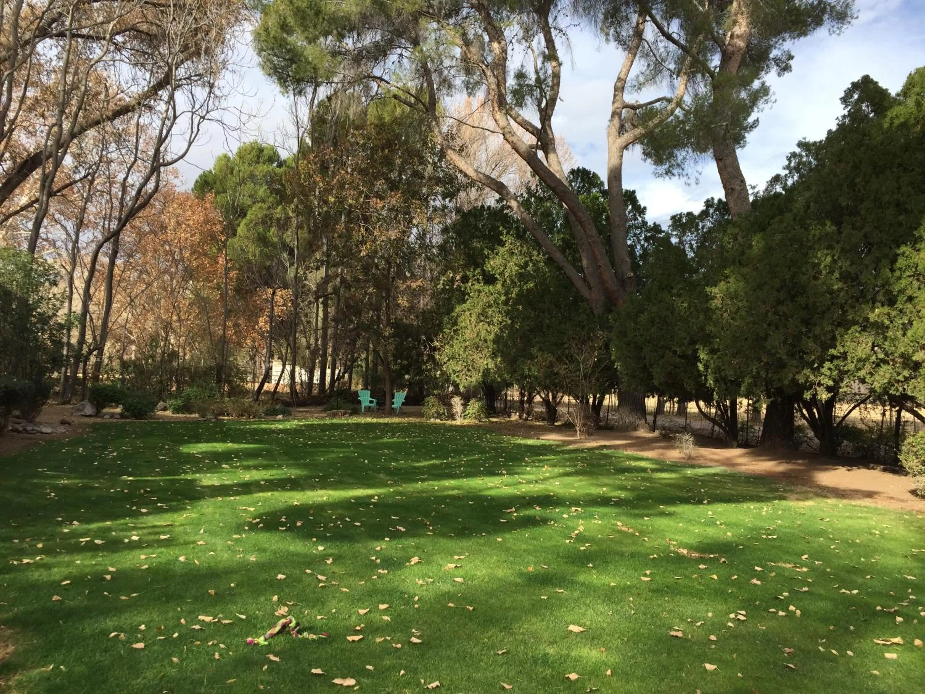View (from property/room) in Casa Paloma B&B