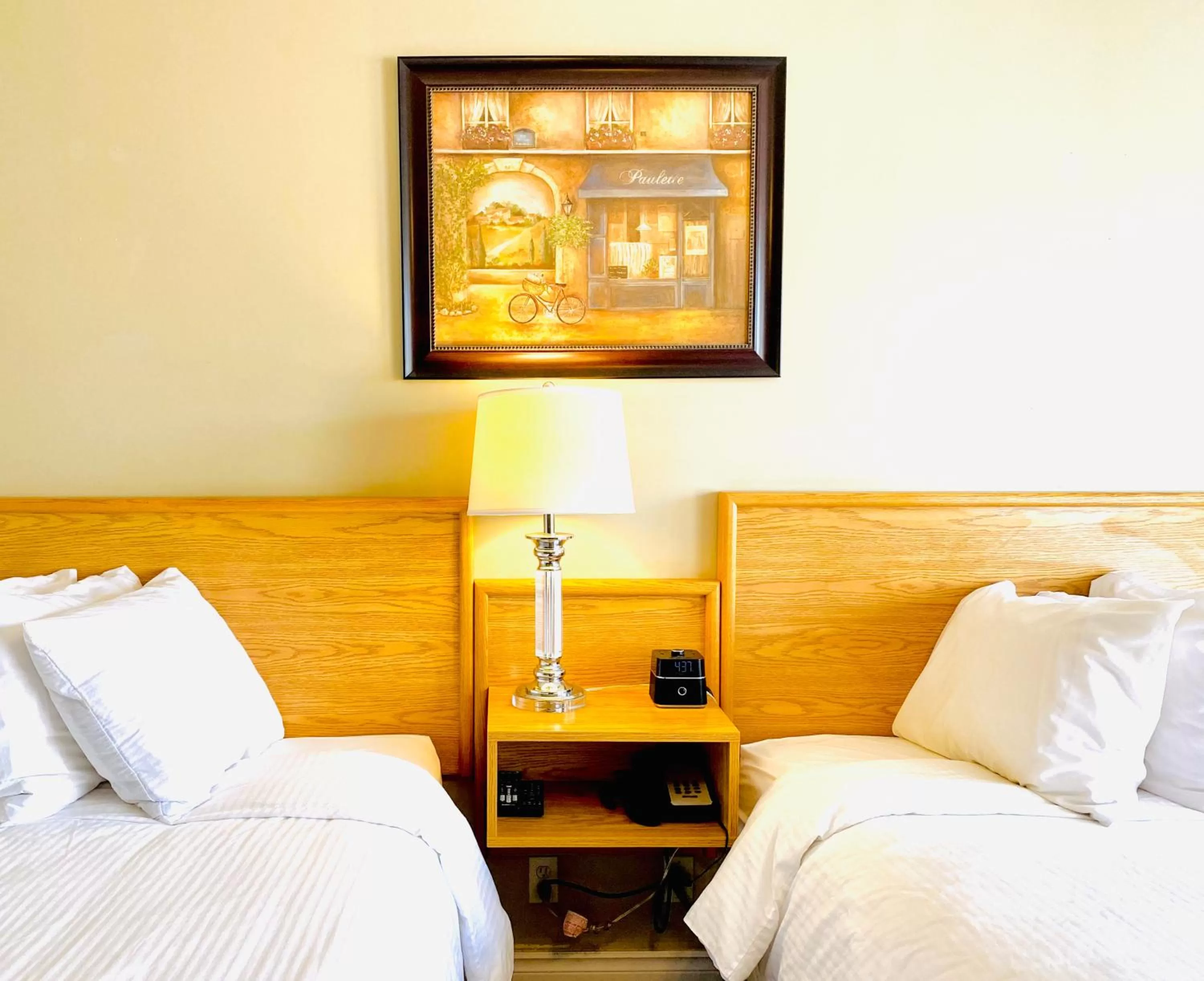 Bed in Twilight Country Motel