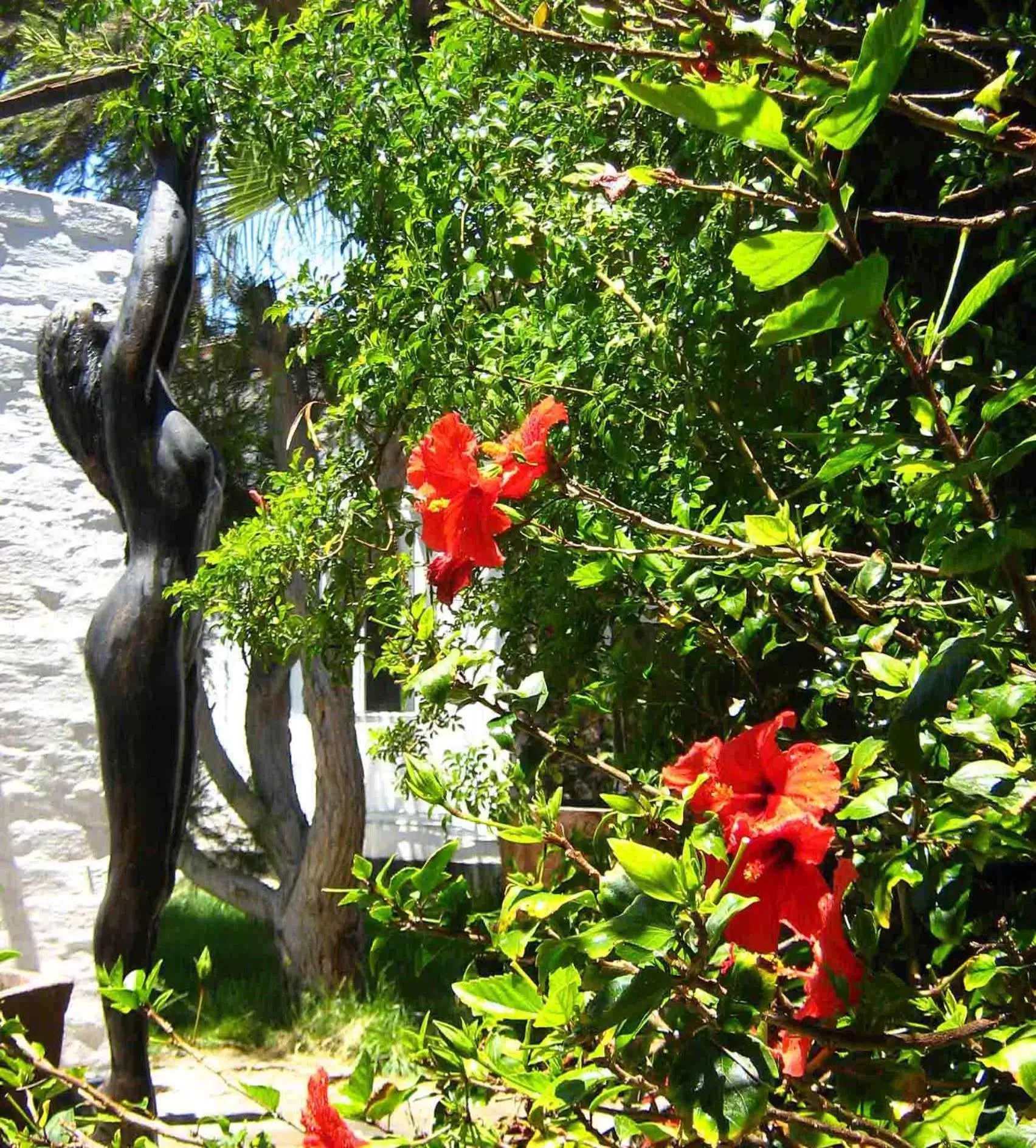 Garden in Alternative Space B & B