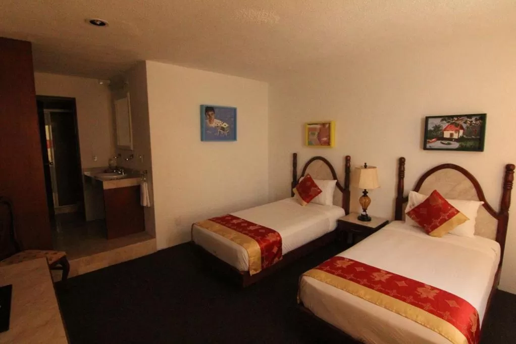 Photo of the whole room in Mansion Havre