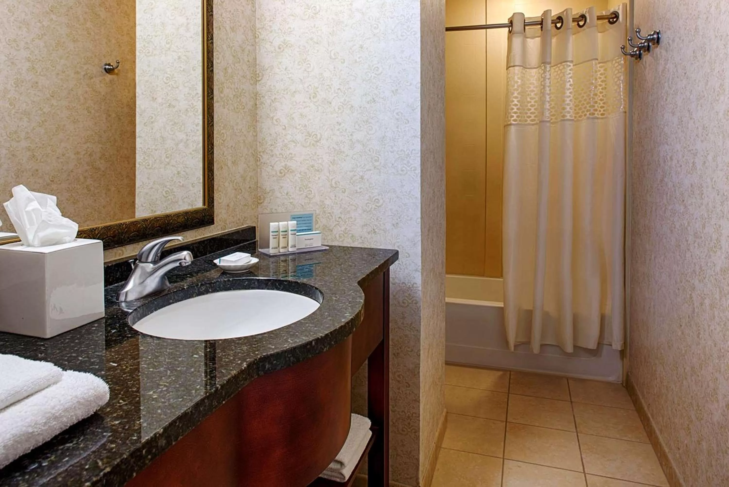 Bathroom in Hampton Inn & Suites Birmingham-Downtown-Tutwiler