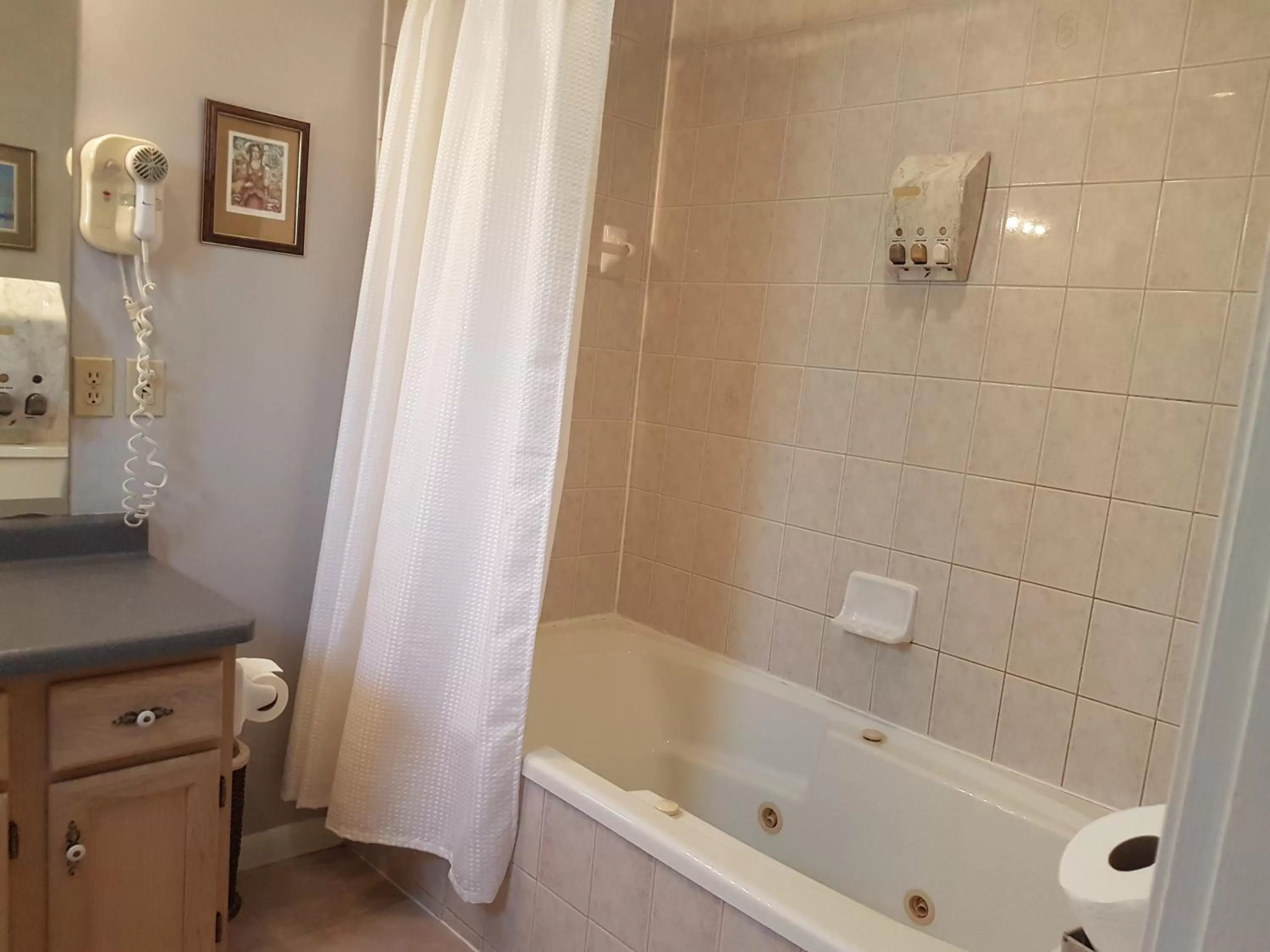 Bathroom in Ye Olde Walkerville Bed & Breakfast